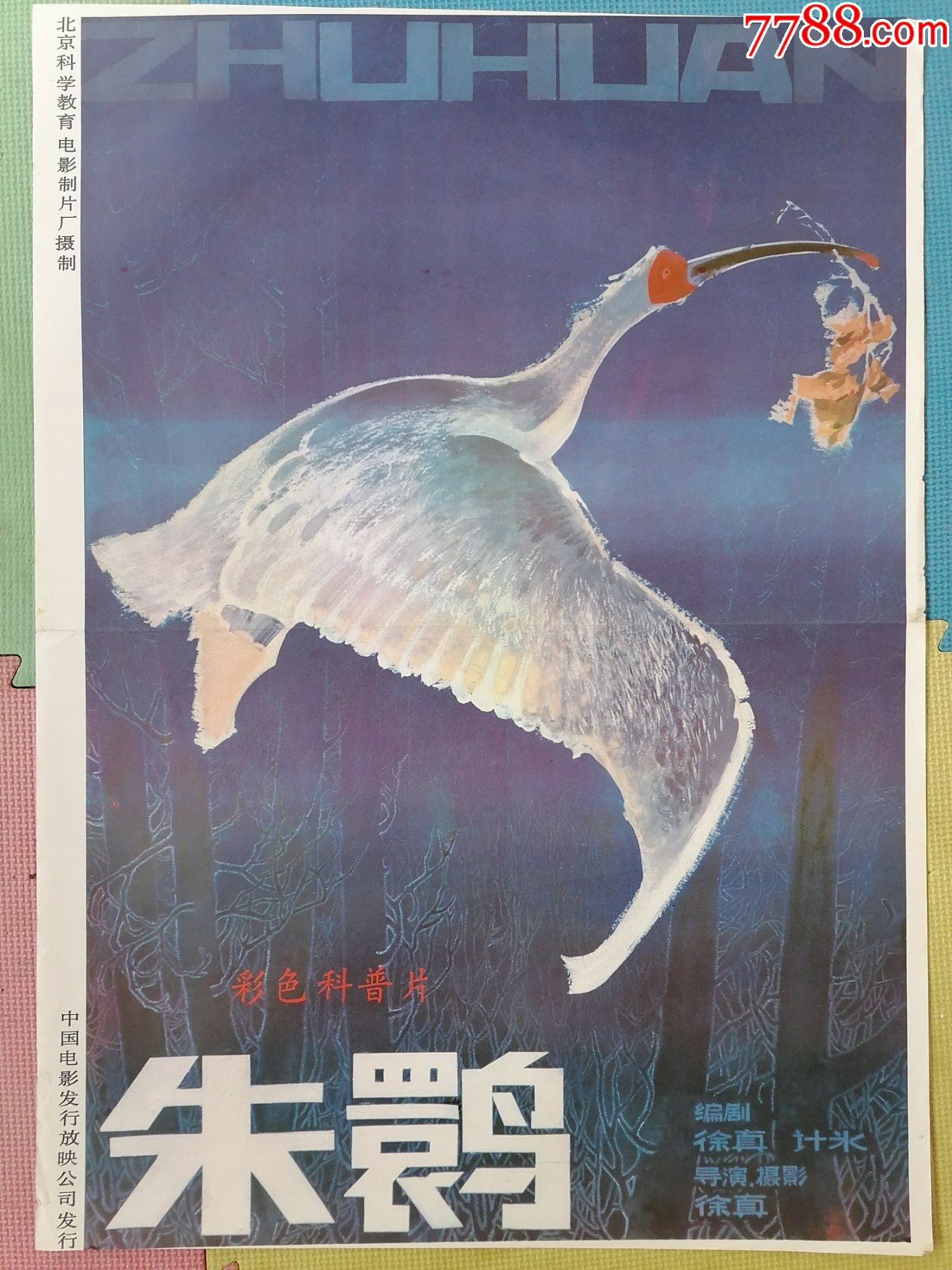 对开电影海报宣传画朱鹮彩色科教片