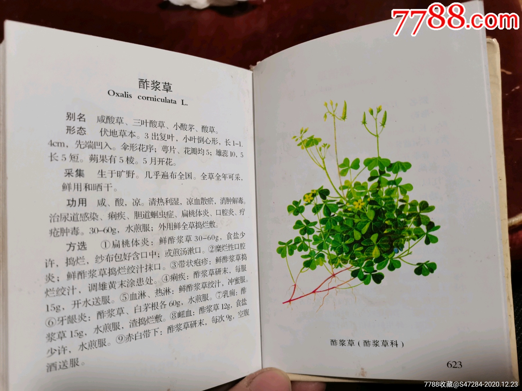 彩色中草药图谱与验方
