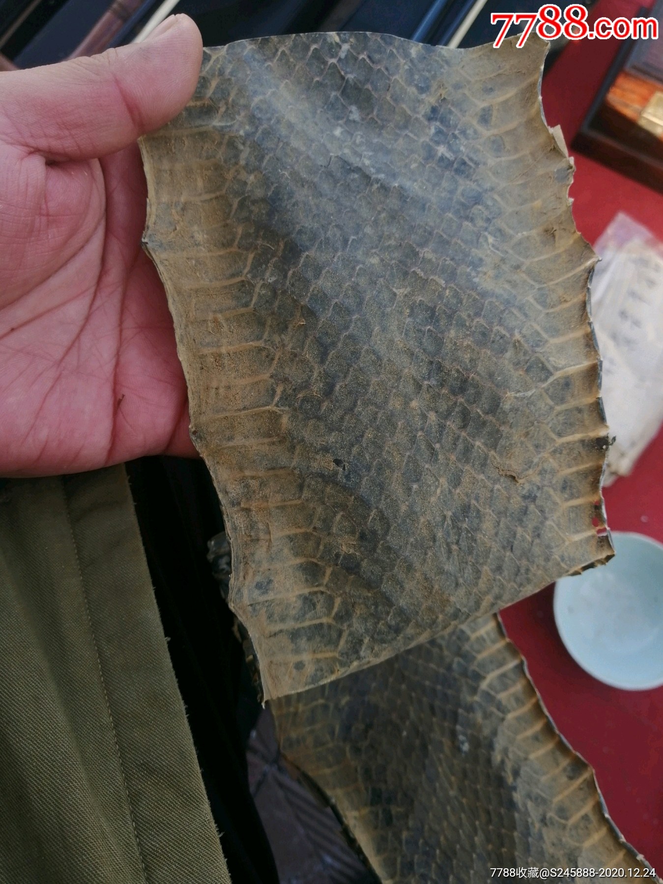 一张有年份的蛇皮二胡蛇皮