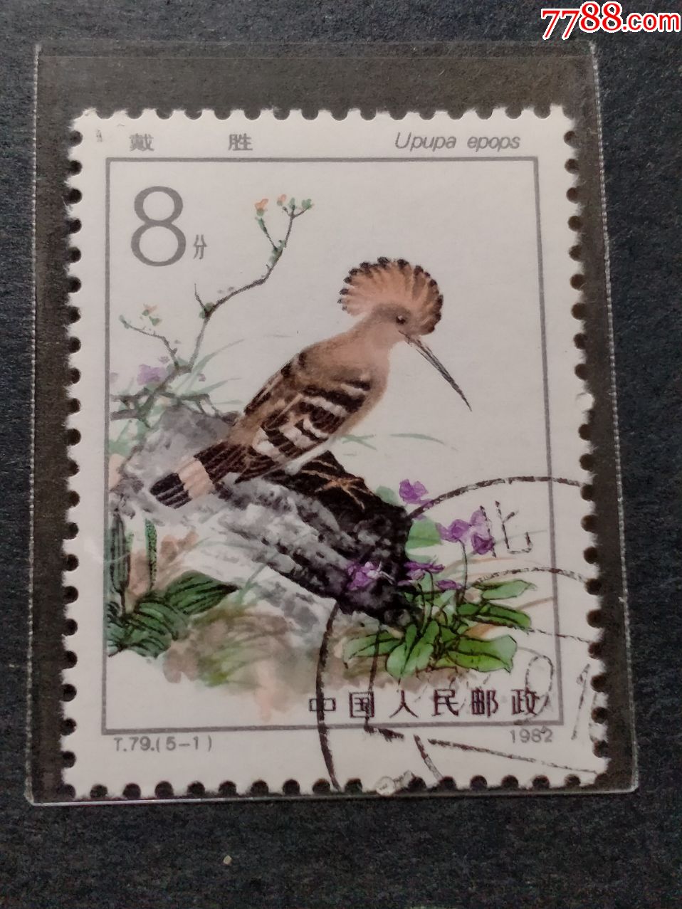 益鸟-新中国邮票-7788邮票收藏