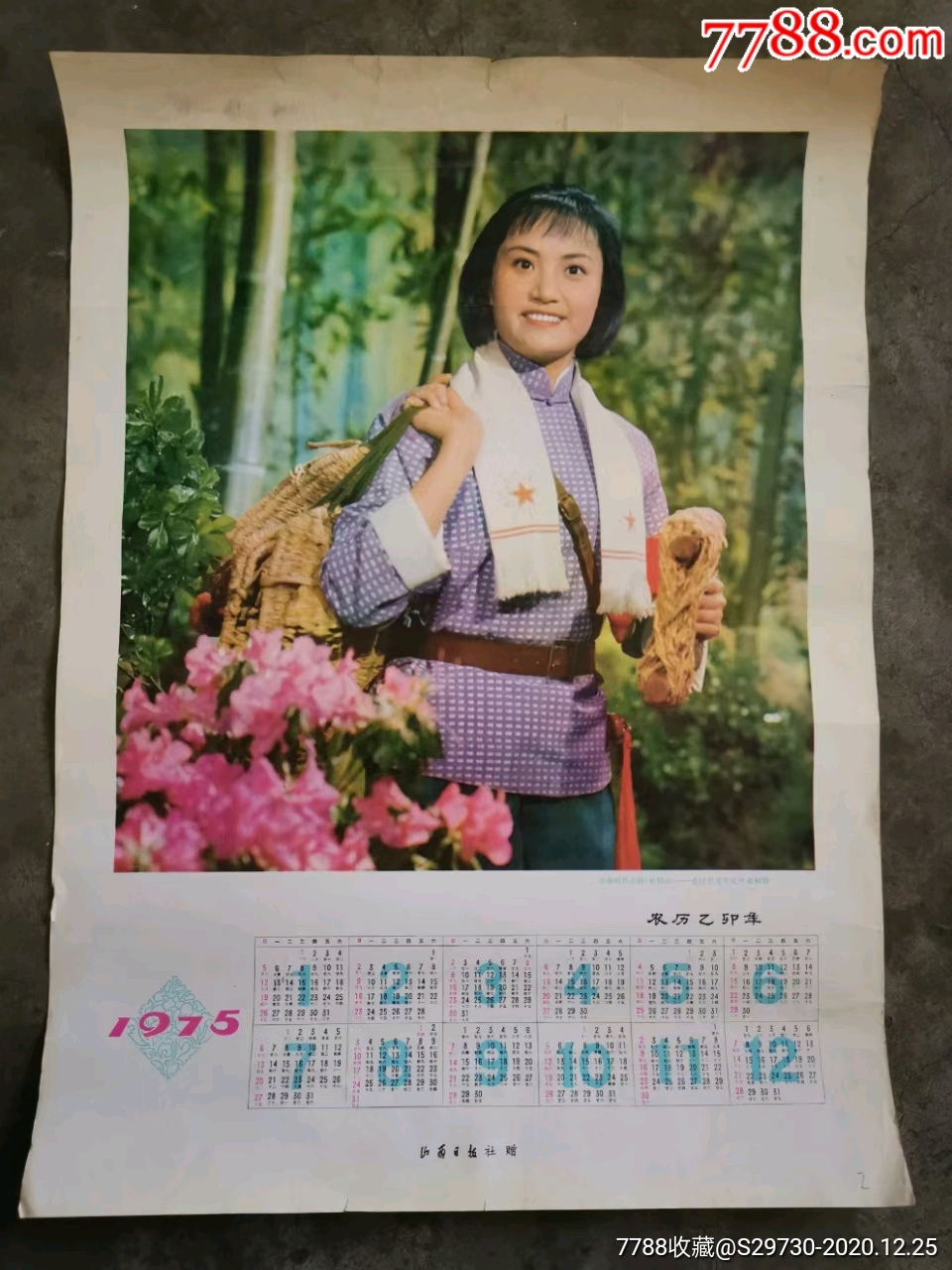 1975年年历表杜鹃山2