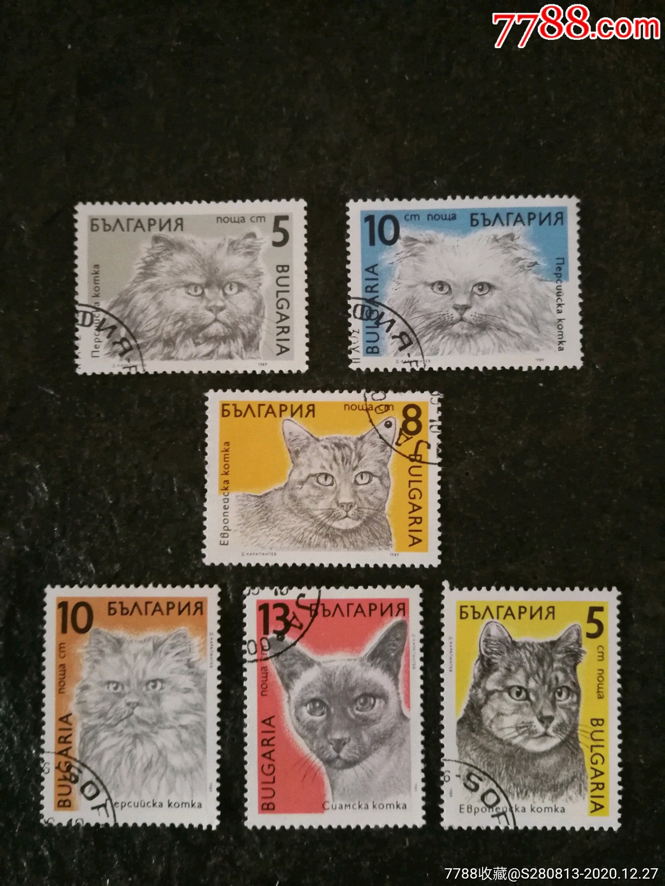 保加利亚邮票猫