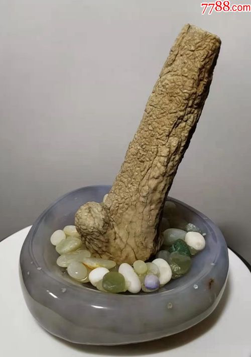 肉苁蓉化石,一柱冲天.