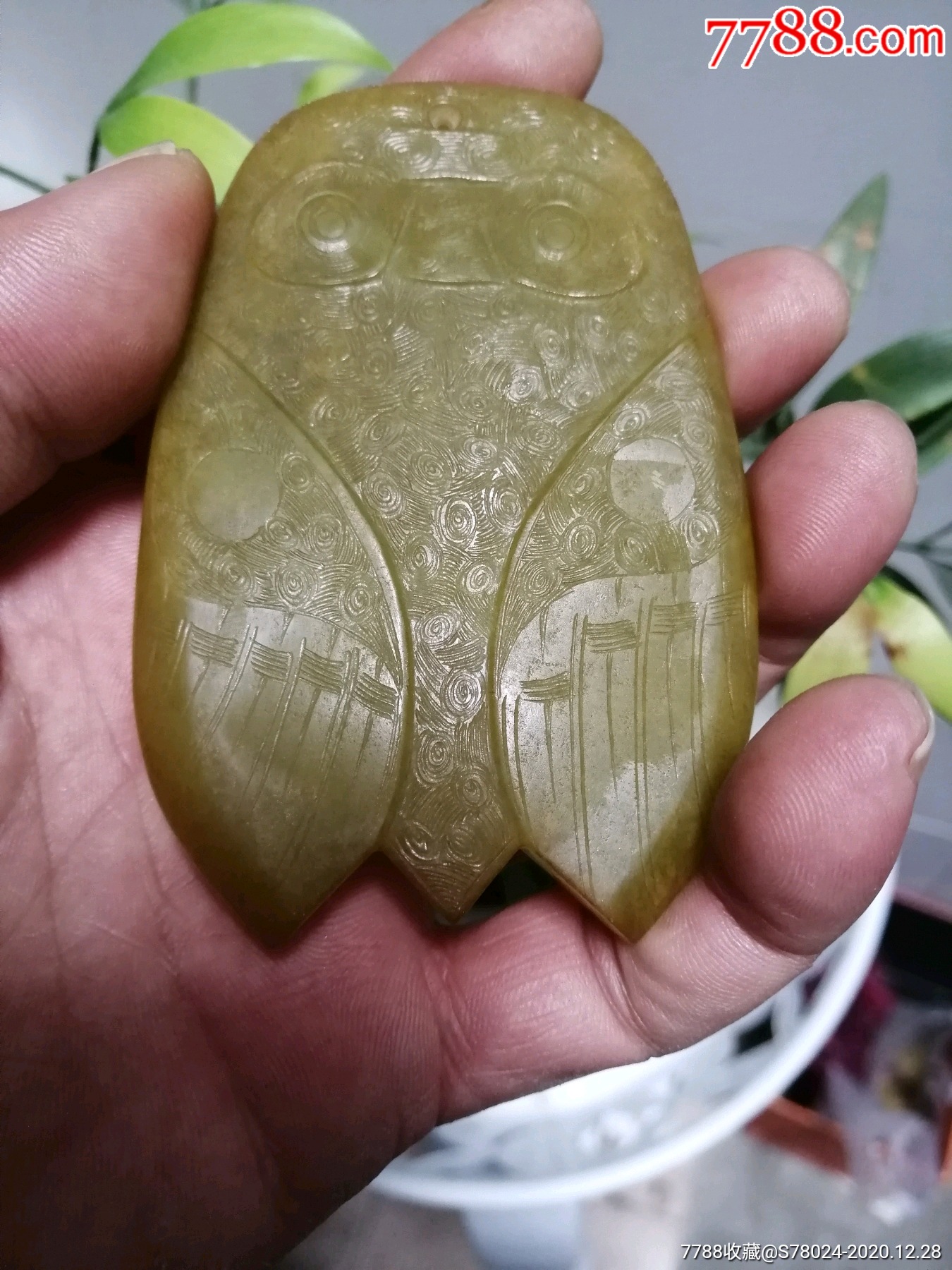 富贵金蝉远古良渚时期老玉蝉满身工艺稀少独特油润爆满一鸣惊人挂件