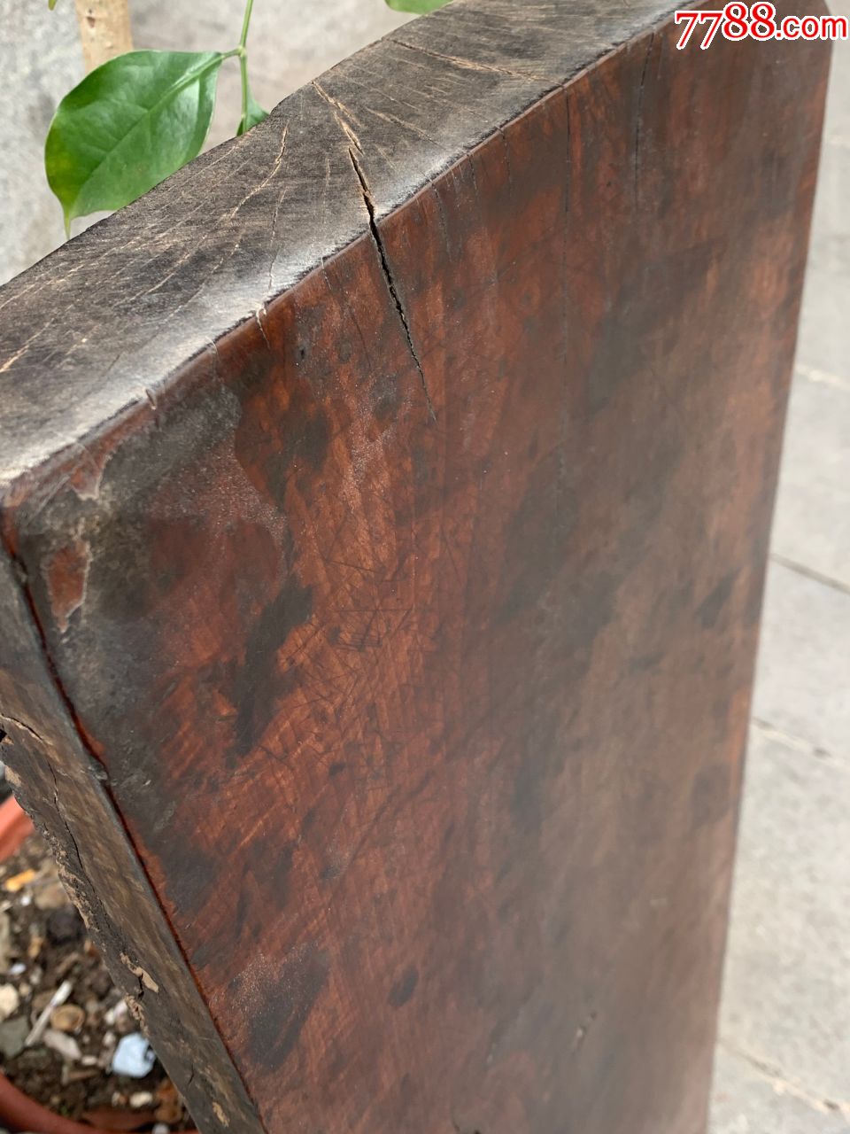 道教圣器大型桃木板