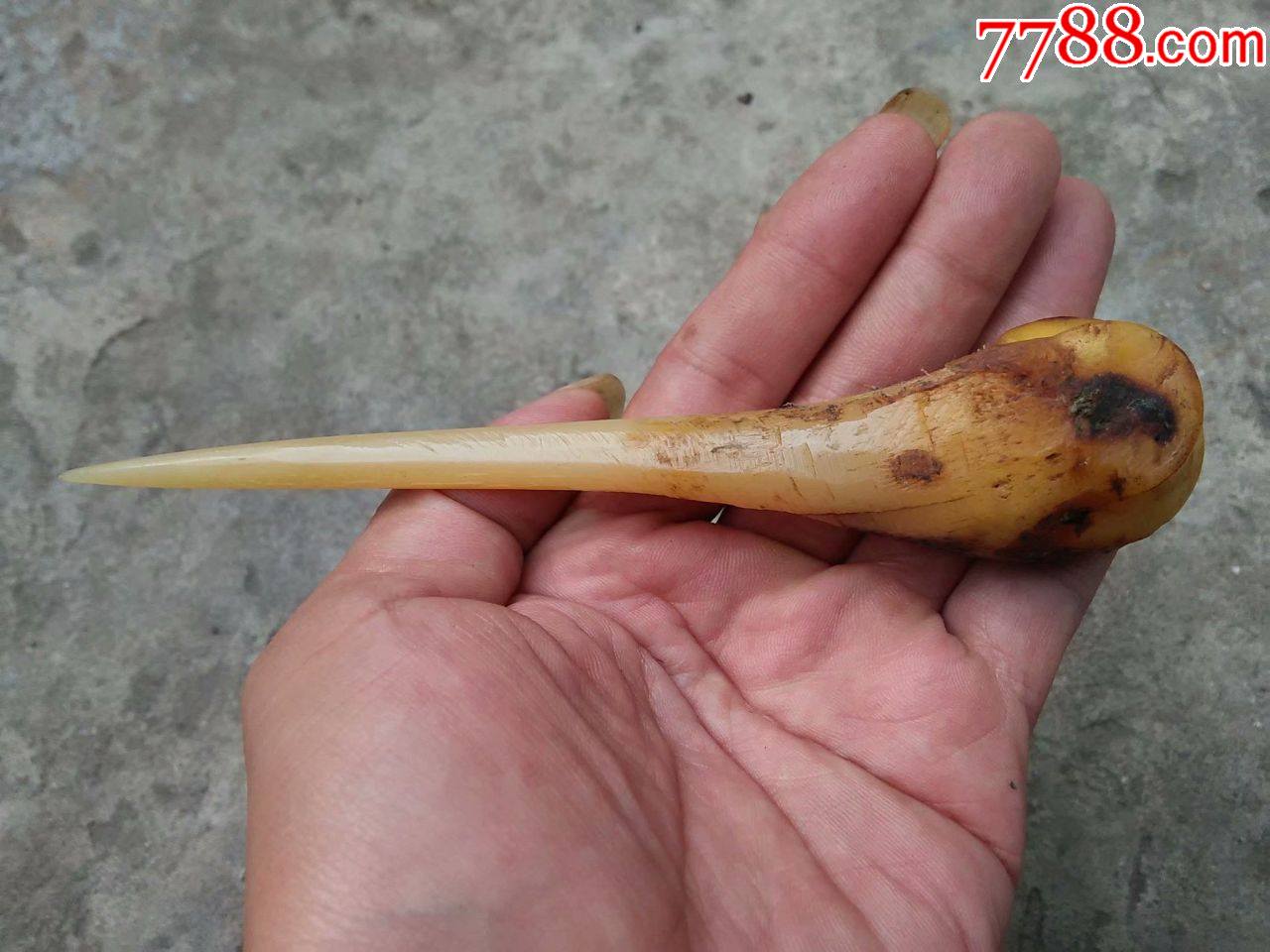 老骨锥味大保真包老喜欢懂货的来