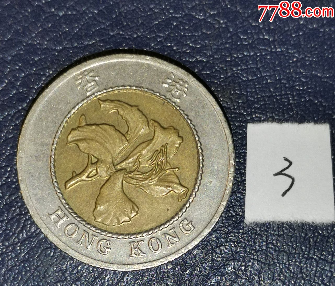 10元港币硬币图片