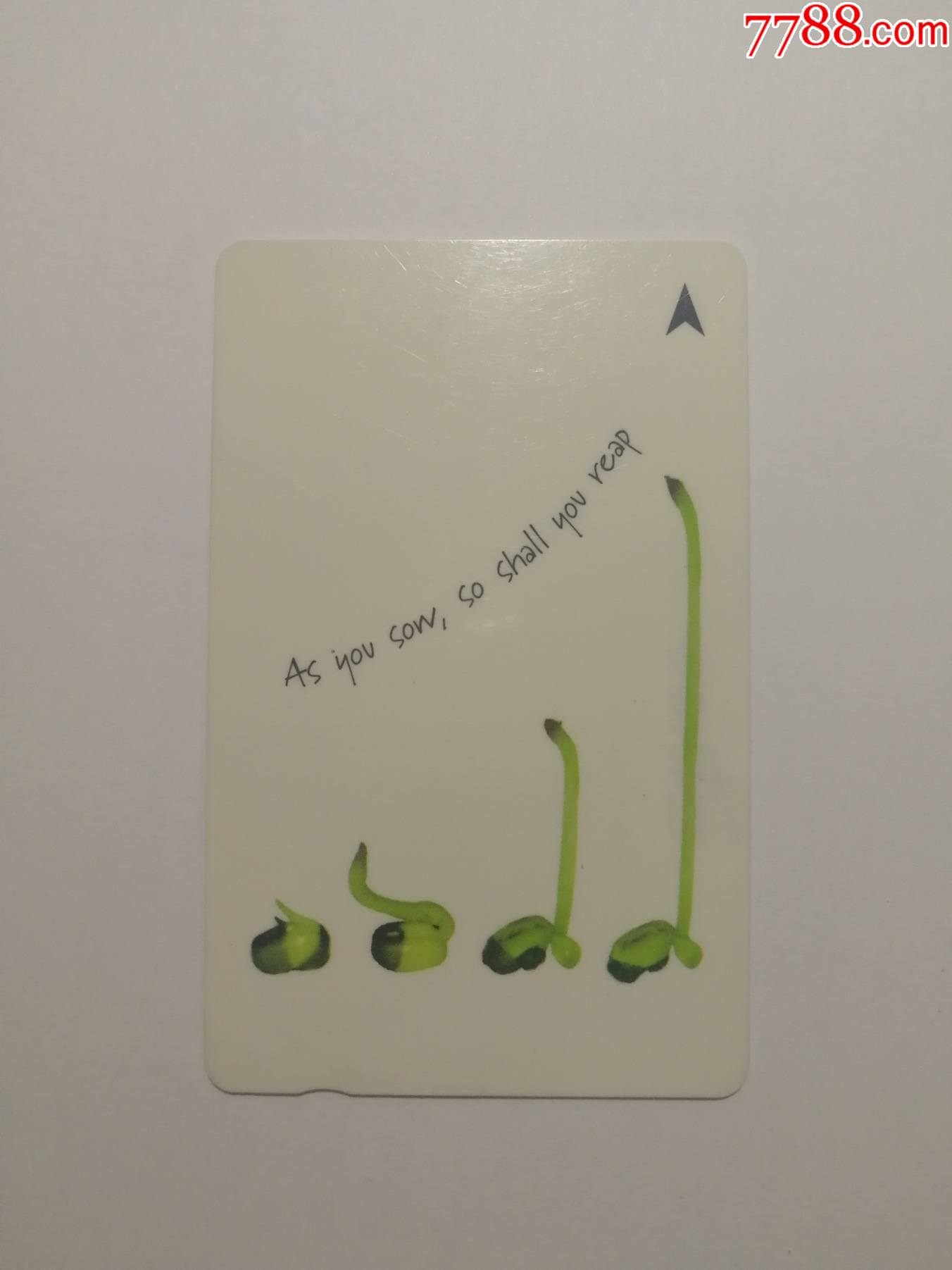 种瓜得瓜种豆得豆新加坡167sigd