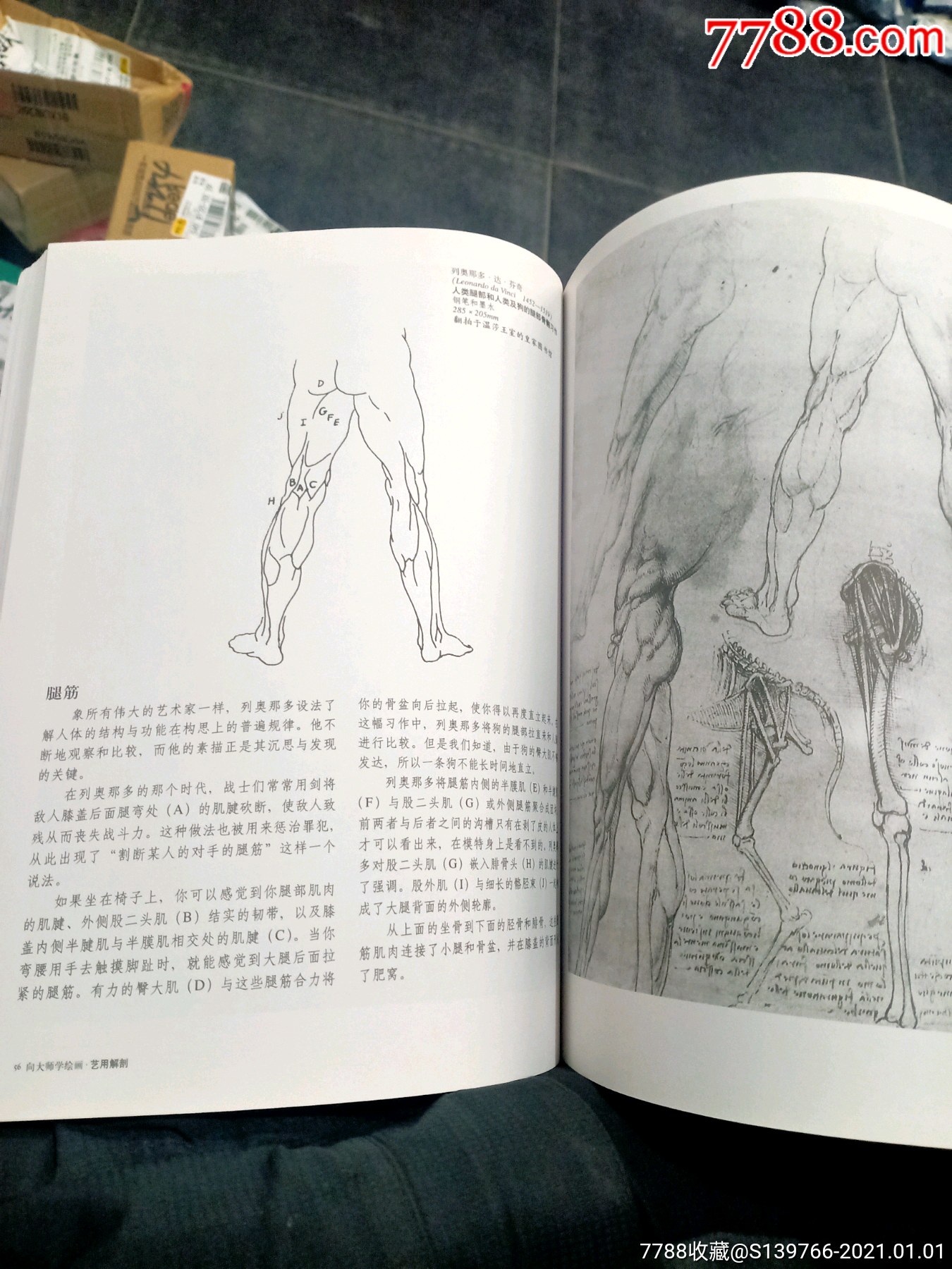 向大师学绘画:艺用解剖