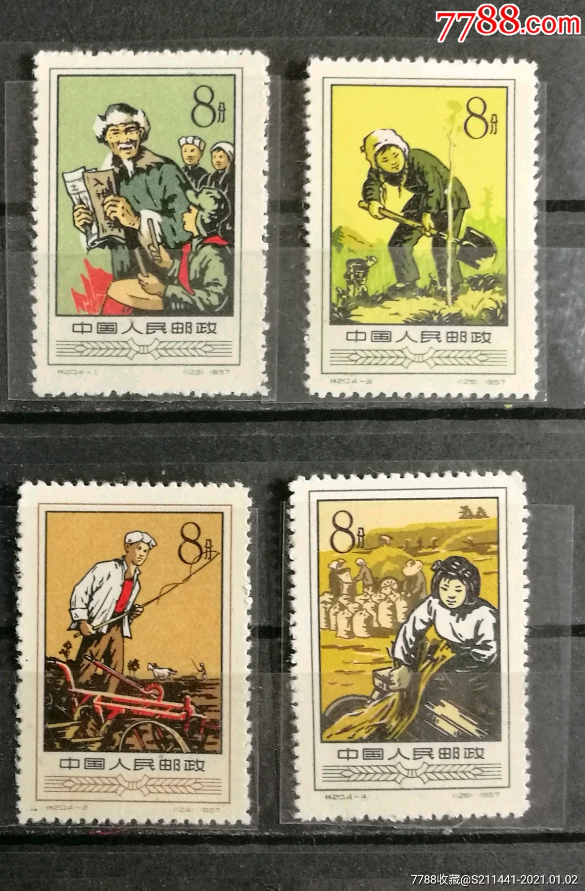 特20农业合作社,4枚全,全品新票-新中国邮票-7788收藏