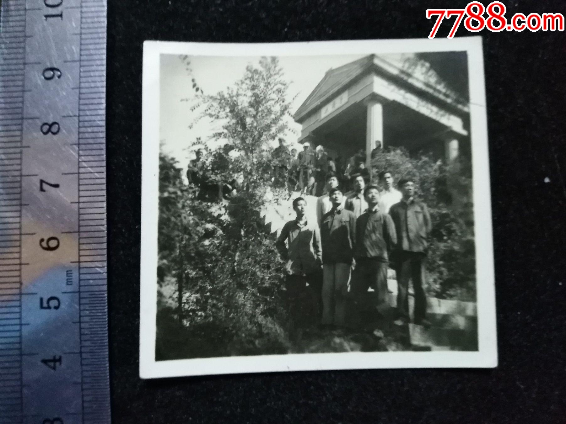 捉蒋亭,1956年-老照片-7788收藏