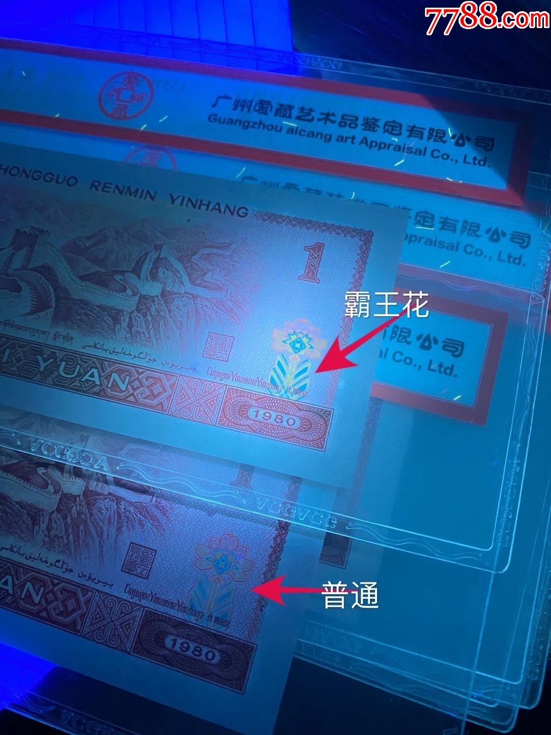 801霸王花爱藏金标红标一对