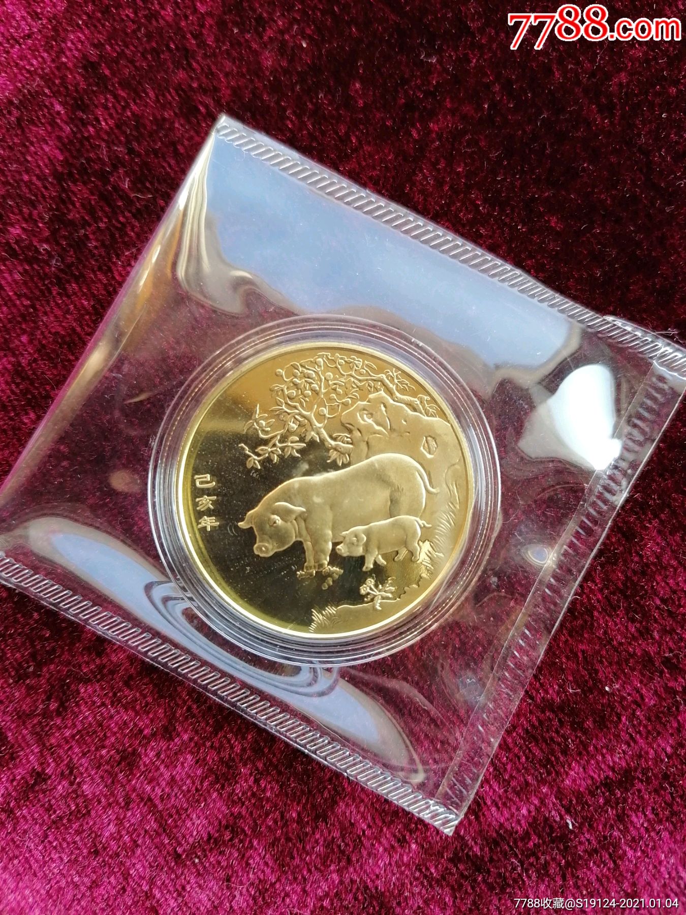 金猪纳福纪念币2019图片