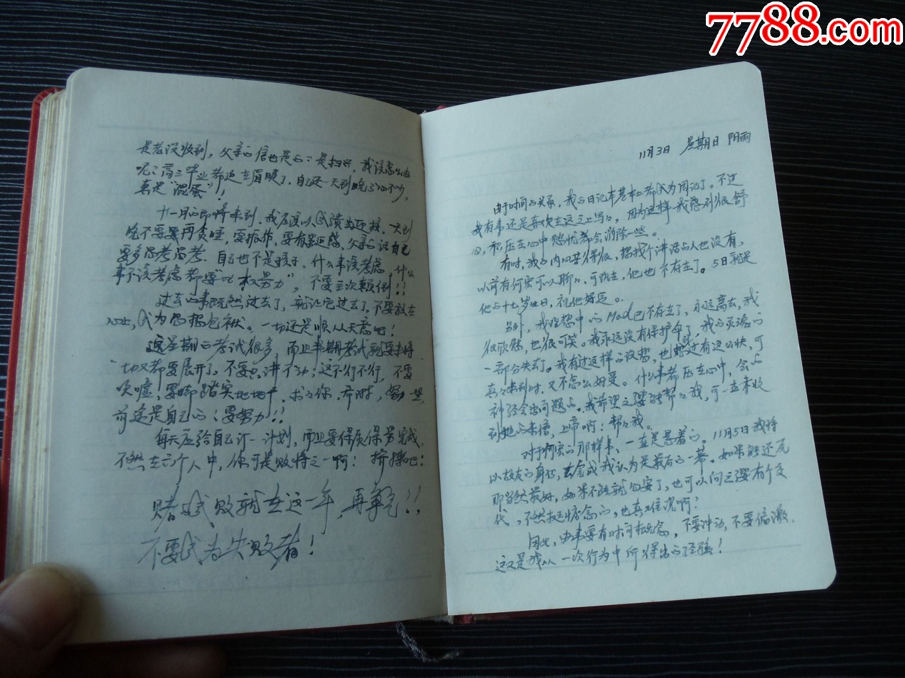 红岩日记本-一个女高中生每天的日记记载