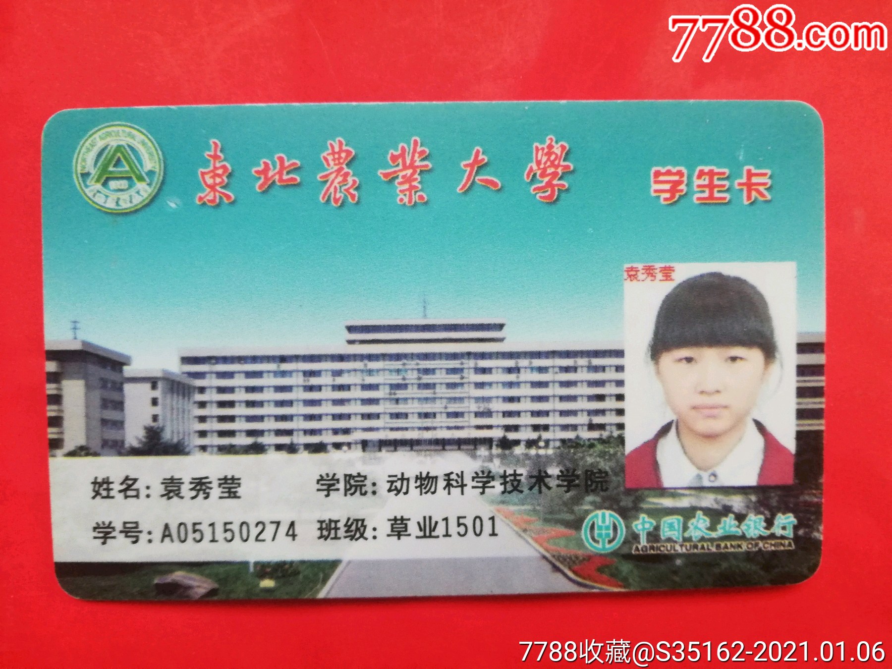 东北农业大学