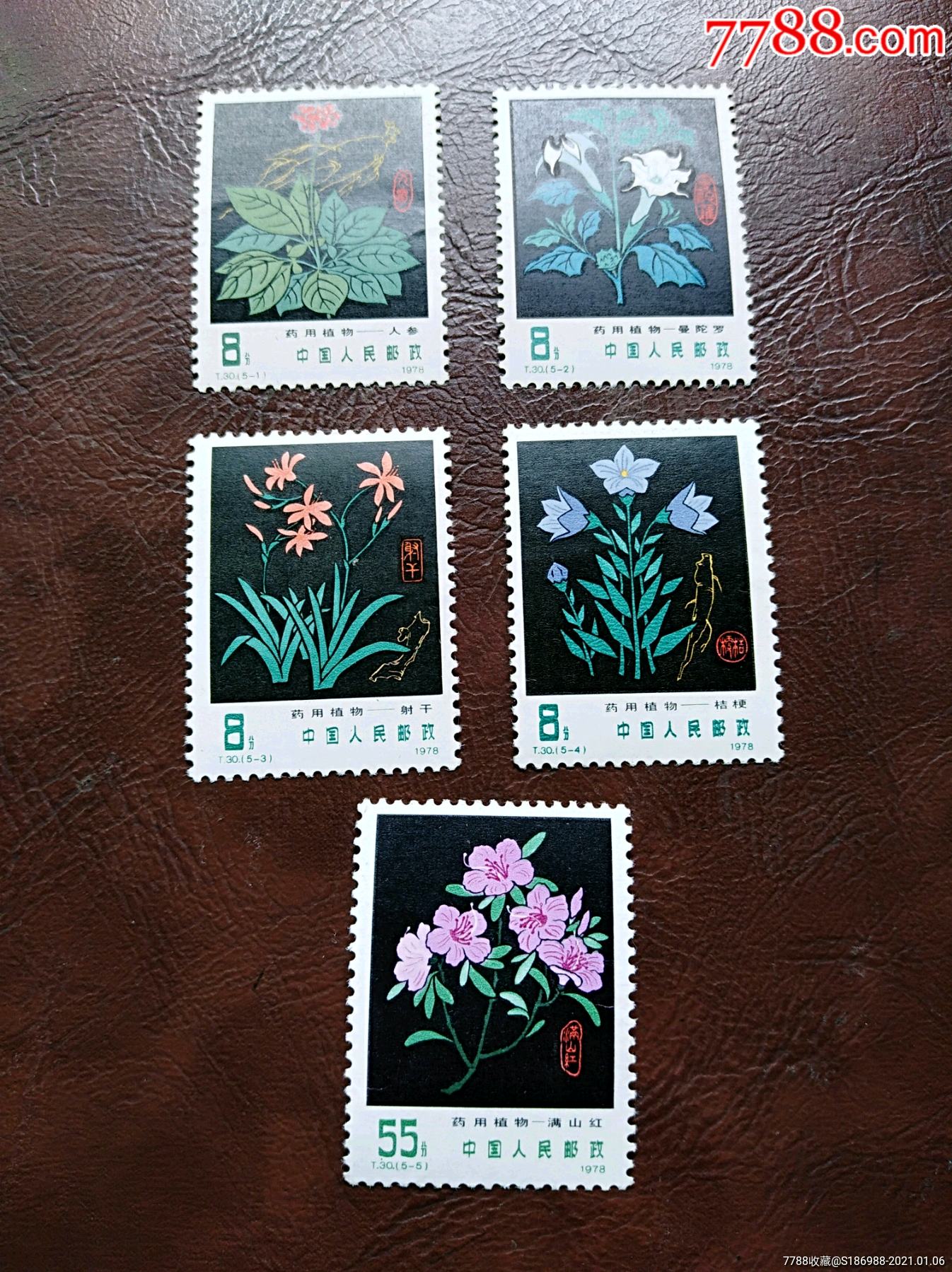 t30药用植物_新中国邮票_第1张_7788茶具