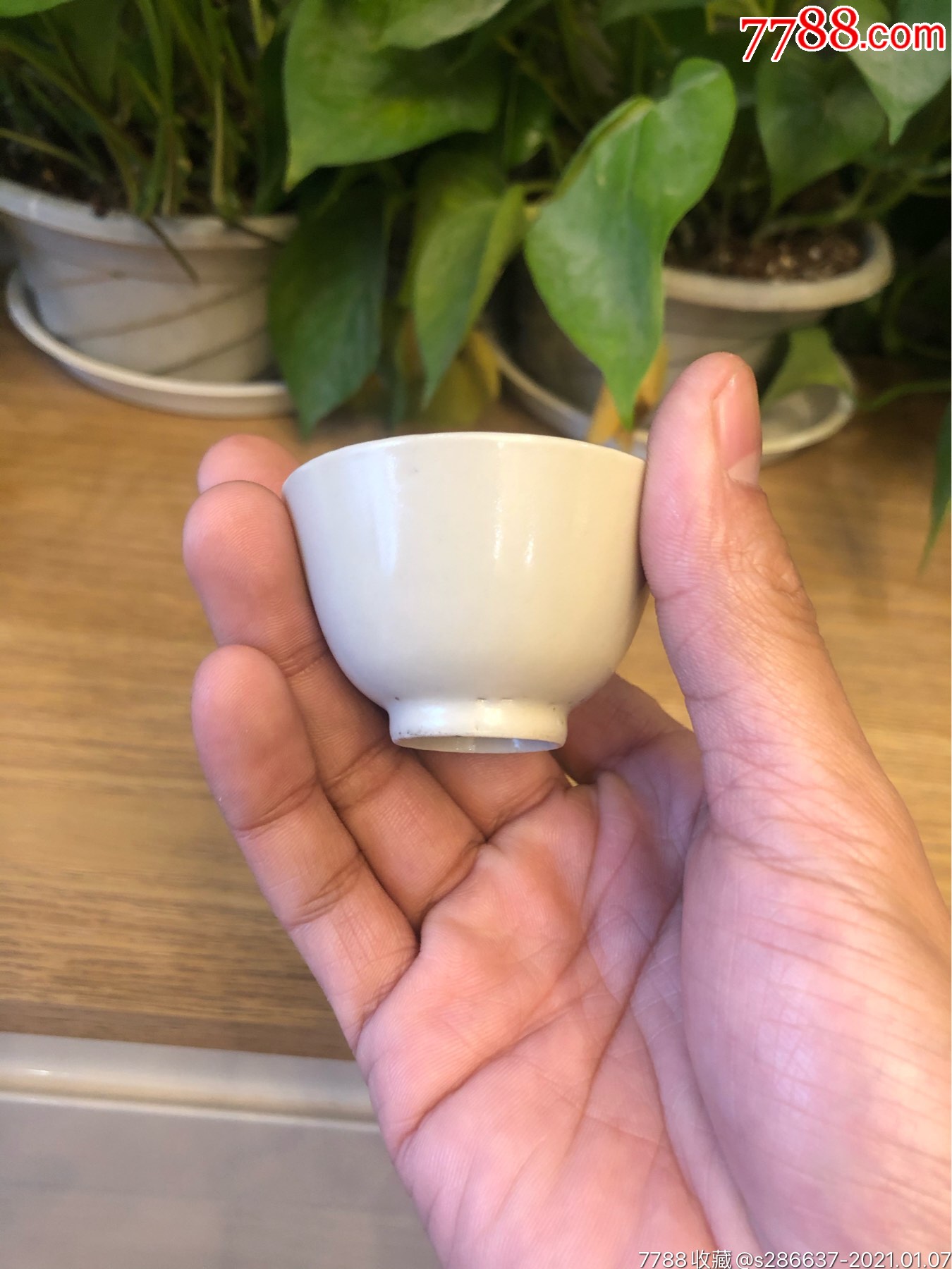 首页 零售 单色白瓷 >> 清牙白釉小酒杯【司敬轩】滚动鼠标滚轴,图片