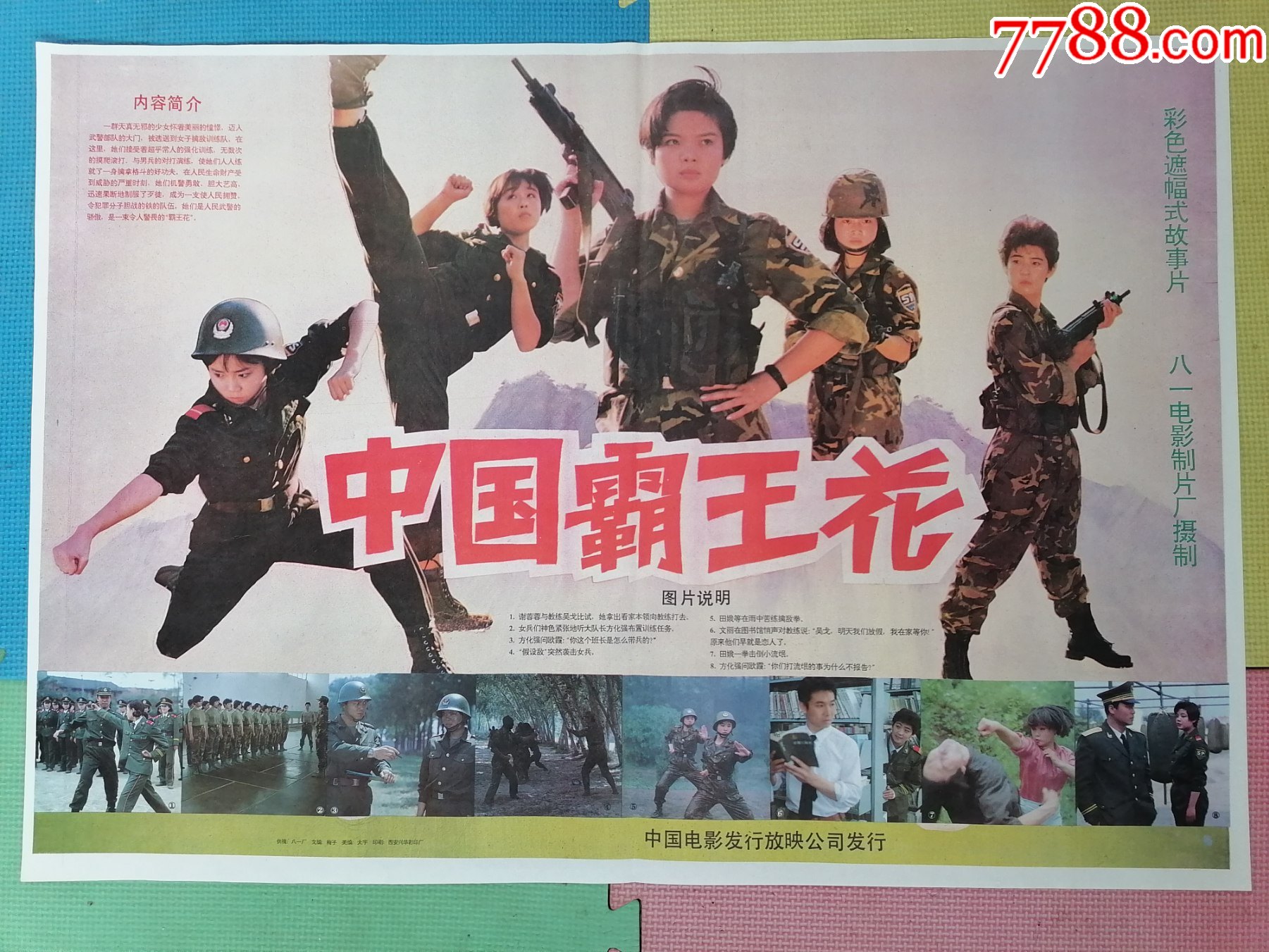 对开电影海报宣传画中国霸王花王晓民龚艺群执导