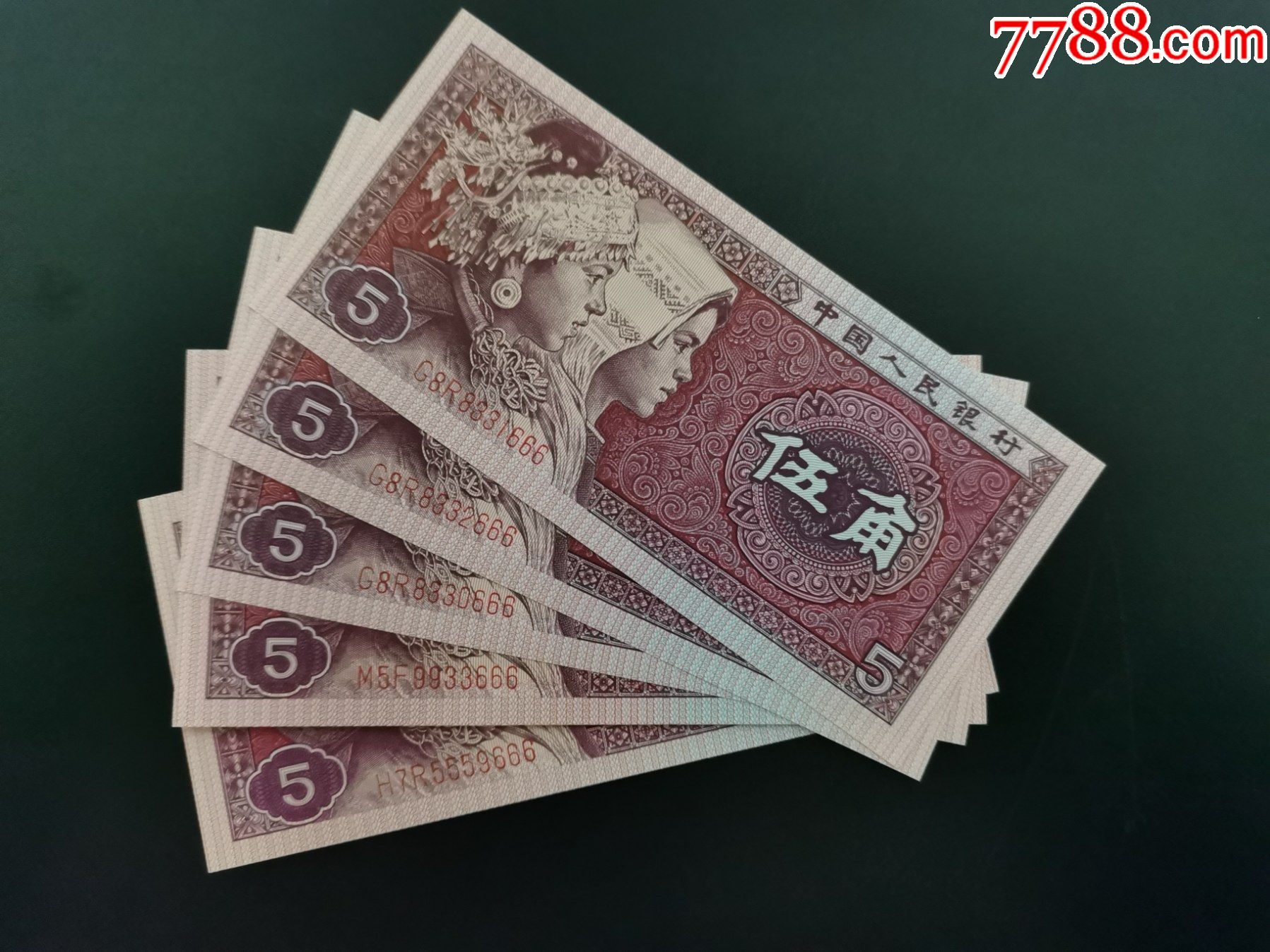 8005-3全新单张豹子号666