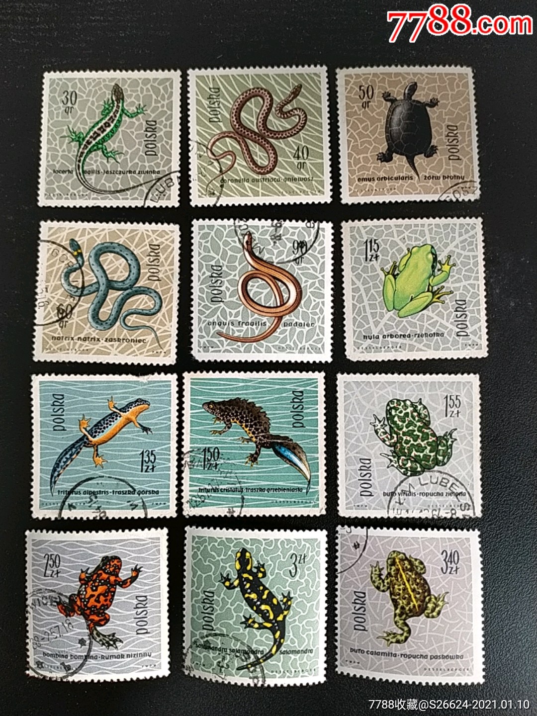捷蜥蜴和游蛇及沼泽龟,天斑雨蛙和嵘螈等邮票12全销