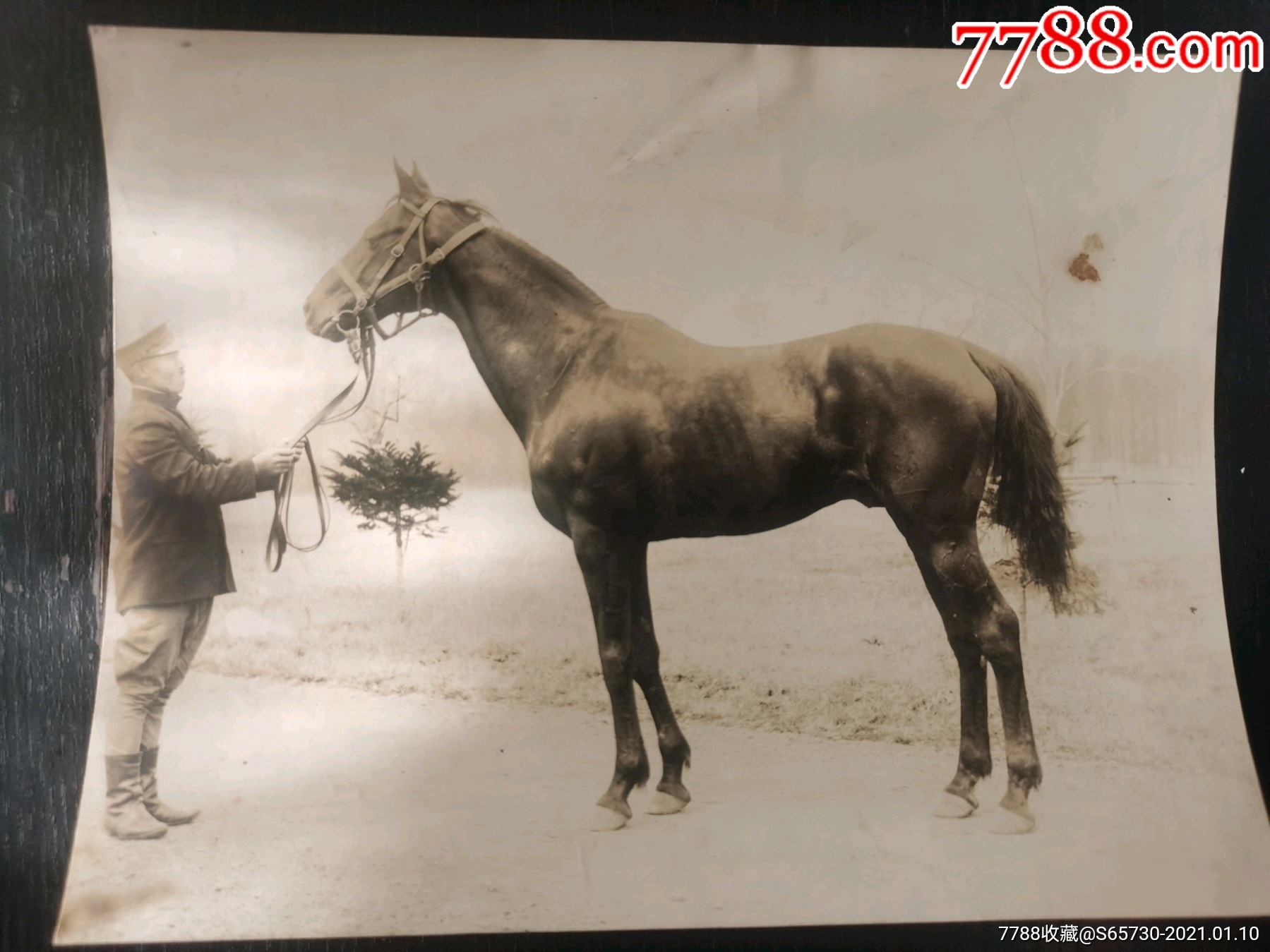 民国照片大洋马