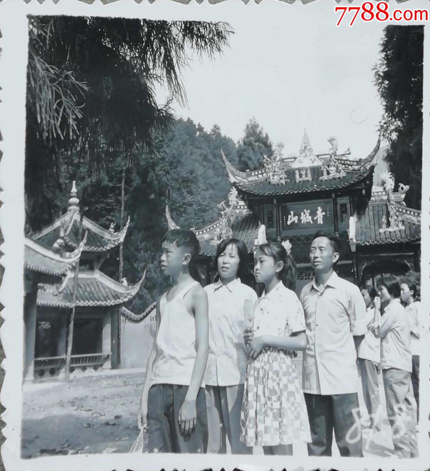 81年青城山58x58cm