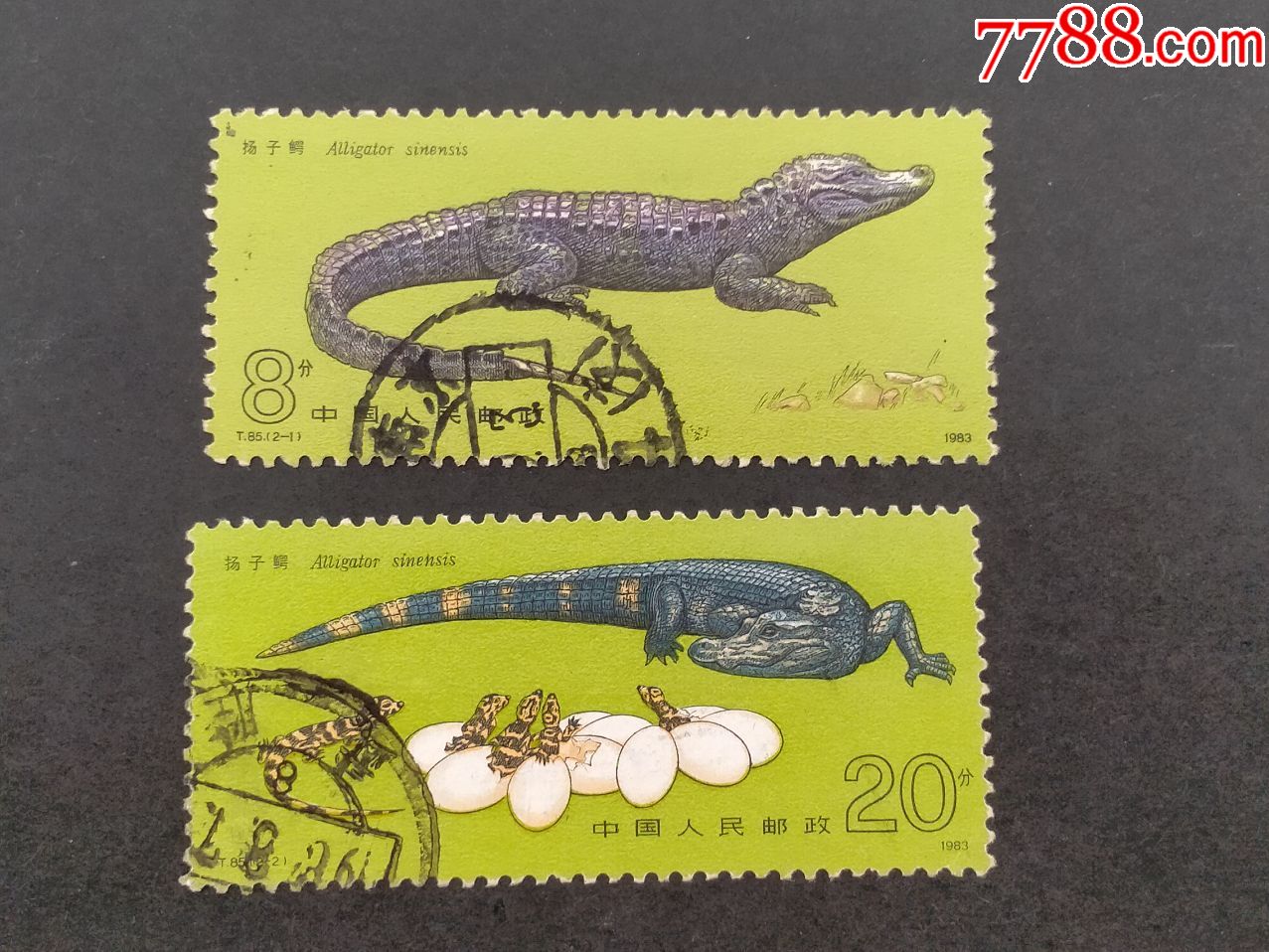 滚动鼠标滚轴,图片即可轻松放大,缩小更多"新中国邮票