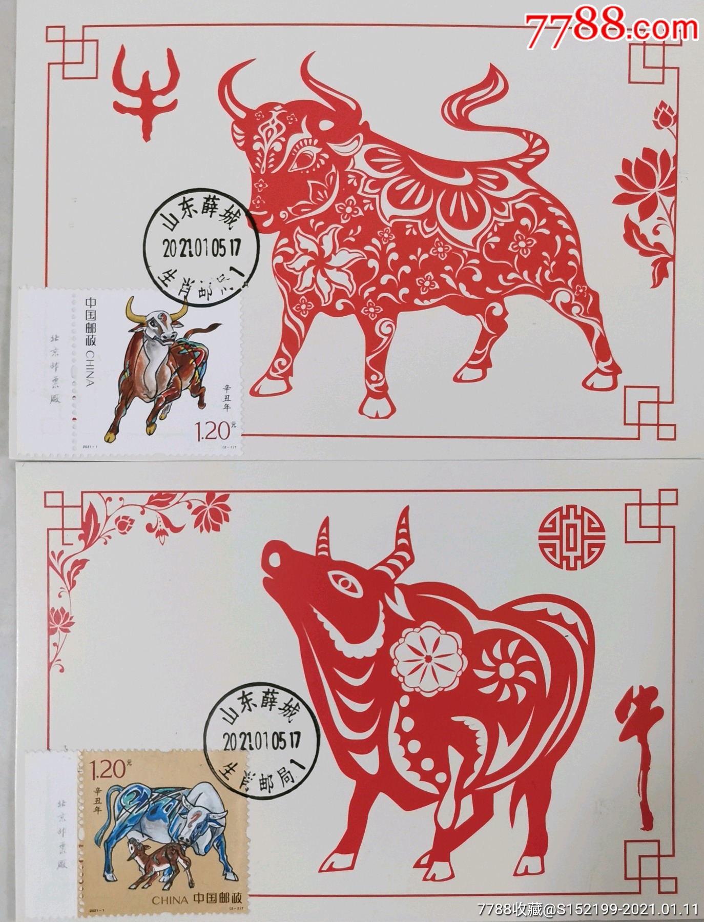 20211辛丑年极限片牛年牛年极限明信片牛生肖片山东薛城生肖邮局日