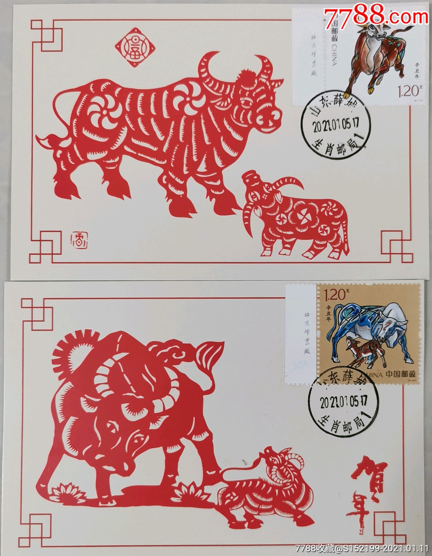 2021-1辛丑年极限片,牛年,牛年极限明信片,牛,生肖片,山东薛城生肖