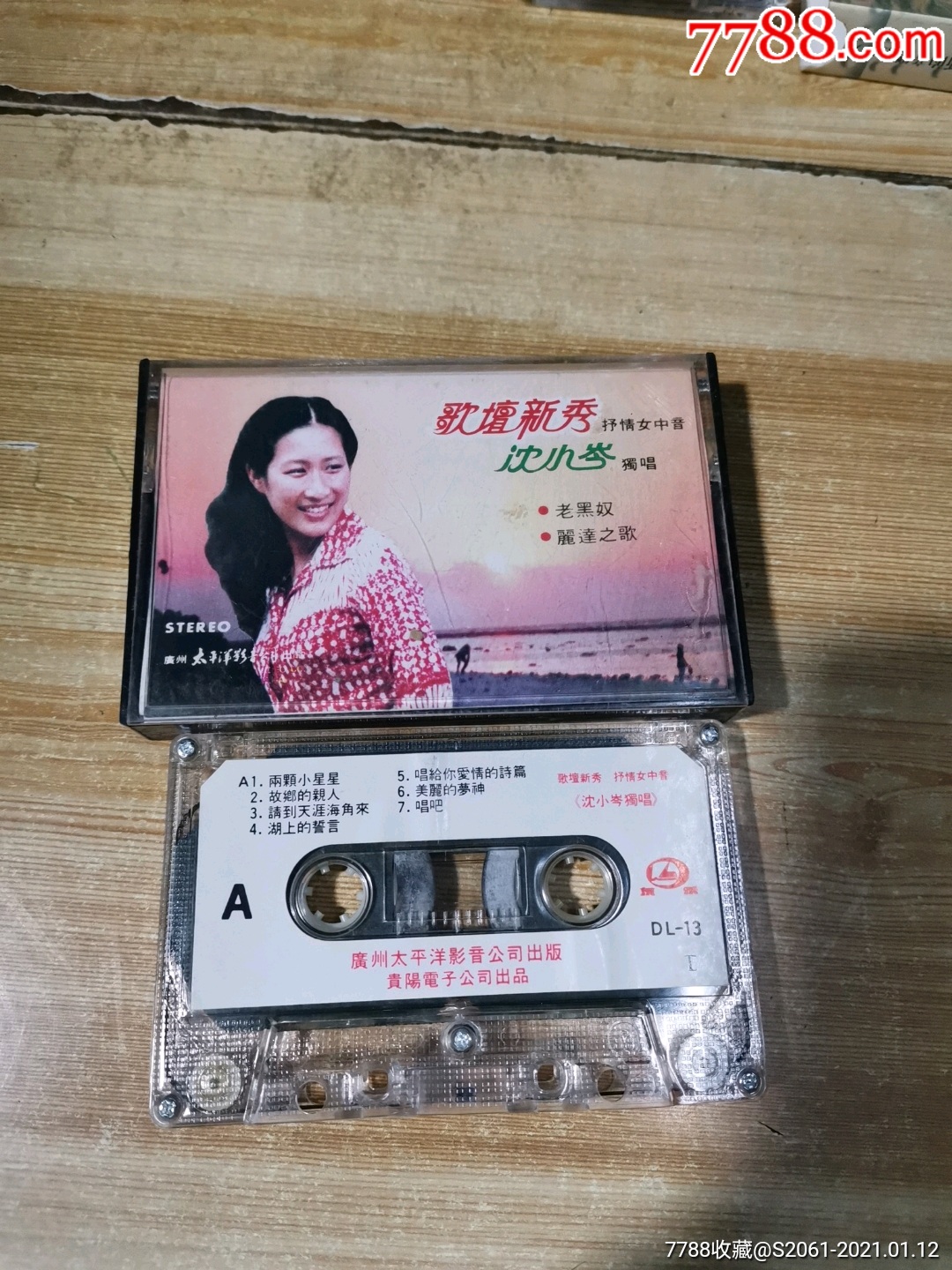 歌坛新秀沈小岑