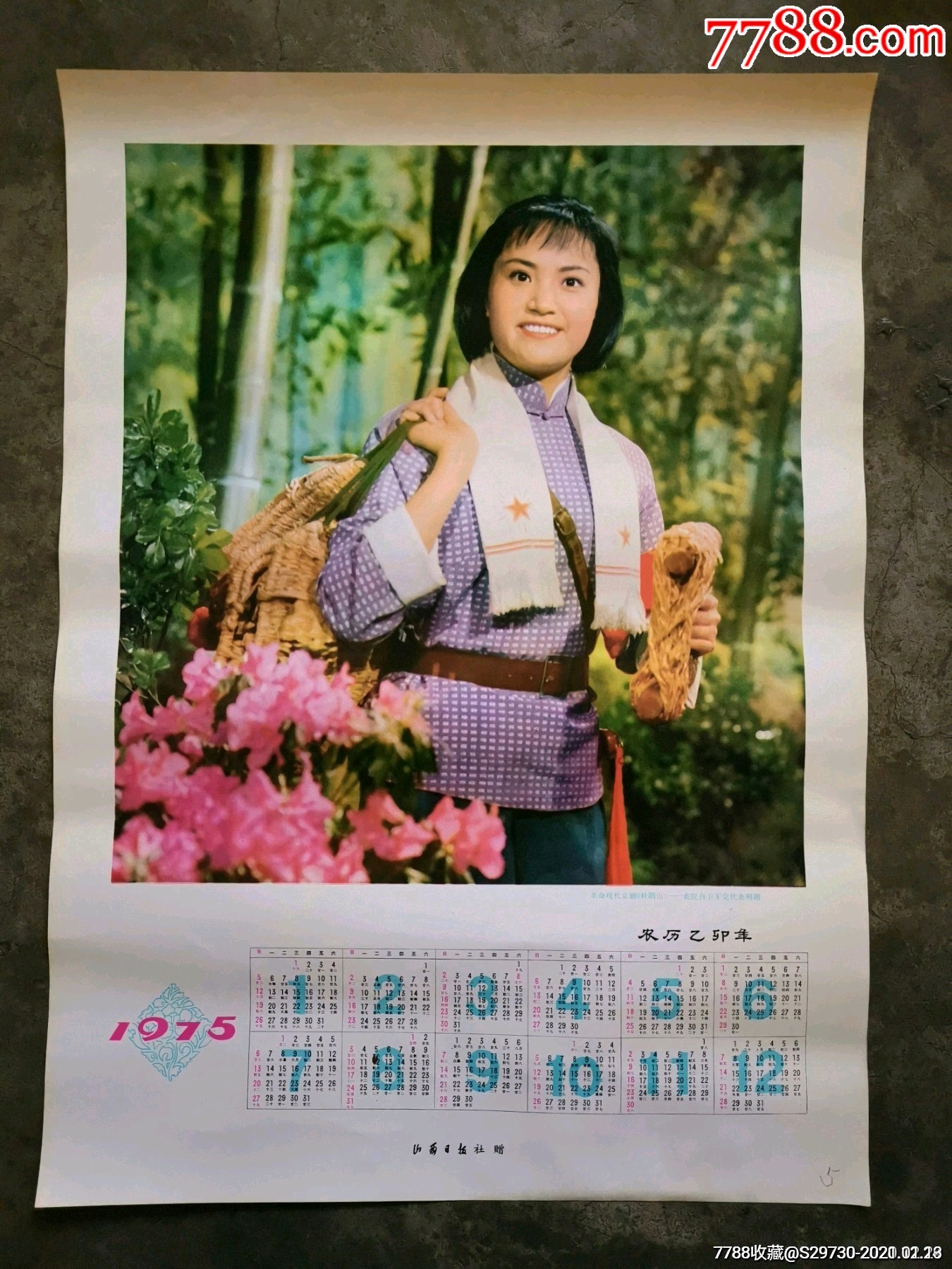 1975年年历表杜鹃山1010