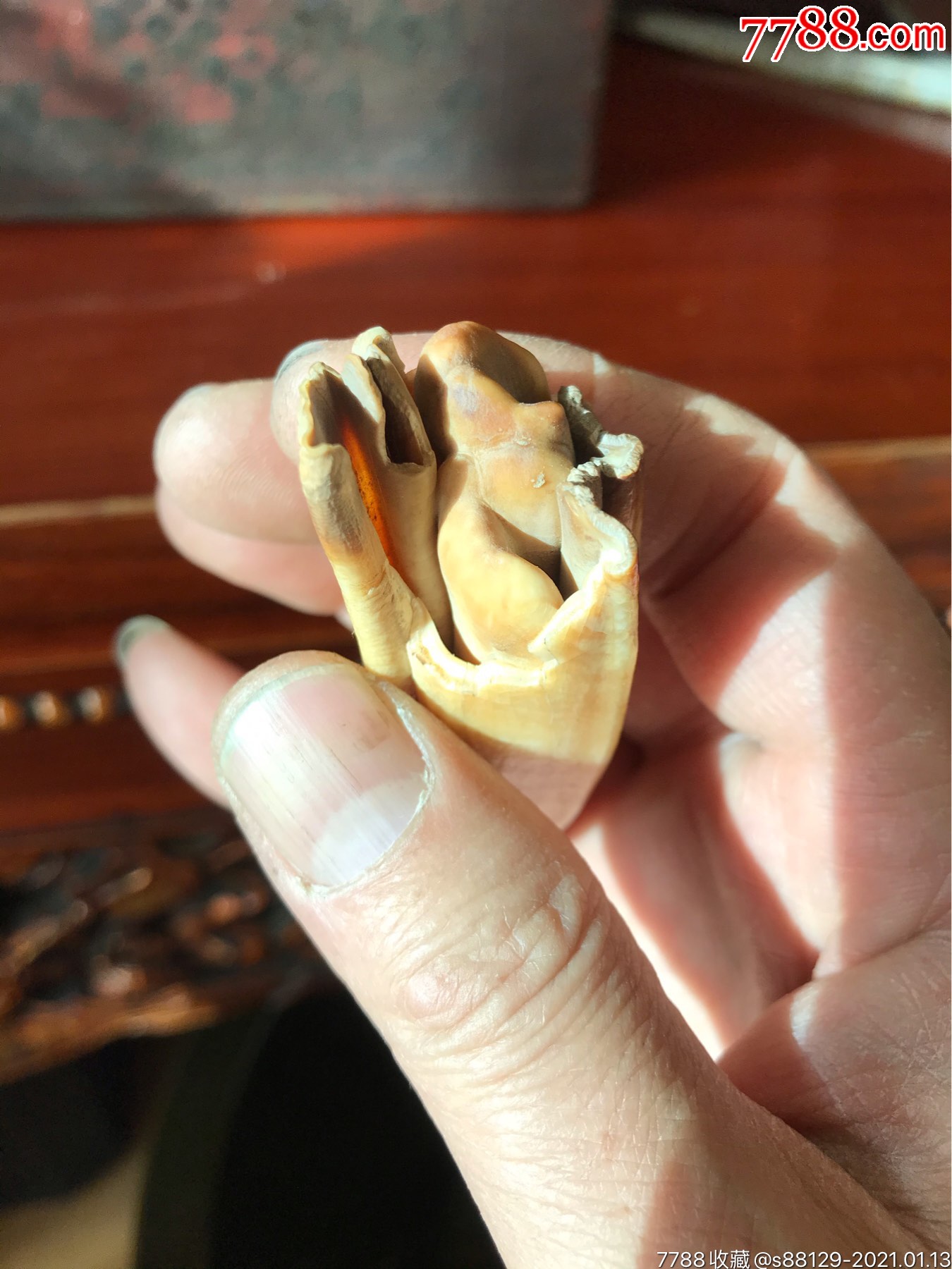 文玩龙牙