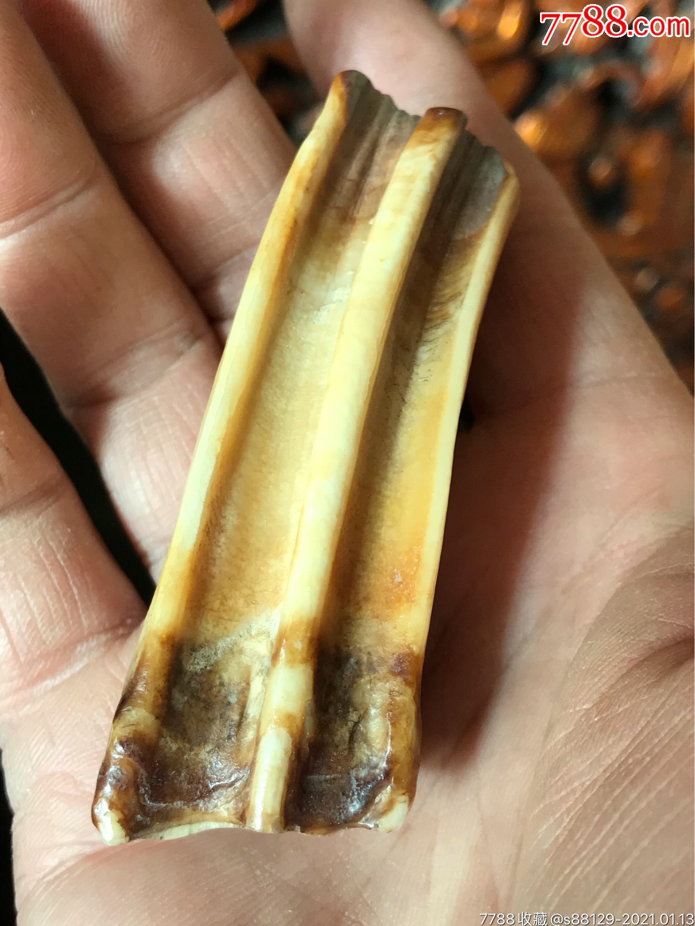文玩龙牙