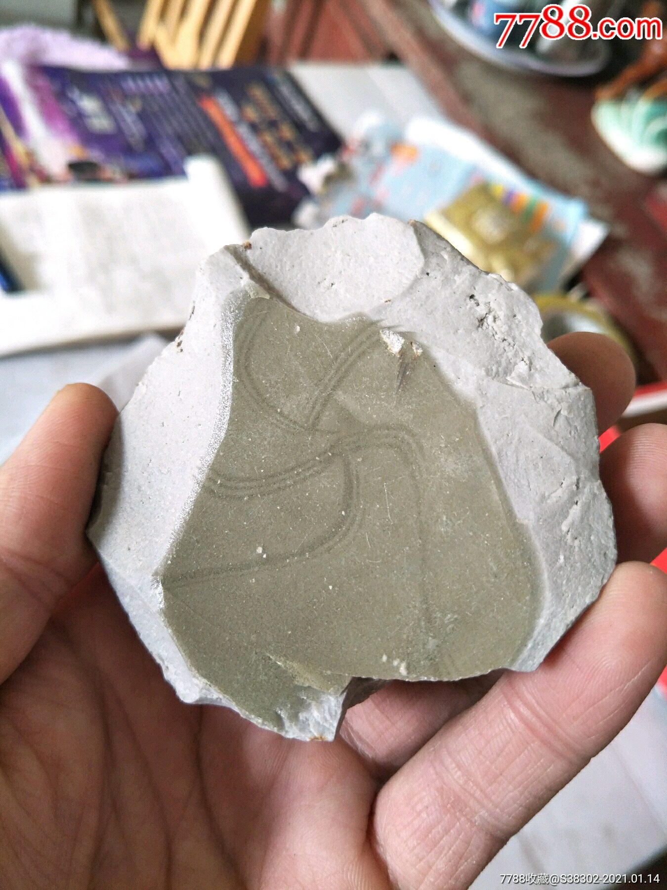 明代龙泉玻璃光瓷片残片临清运河古玩店万枚瓷片标本馆