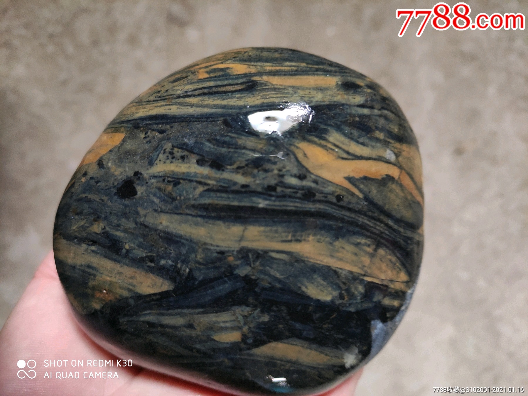 长江辉木化石_硅化木/木化石_图片价格_收藏价值_7788钢笔收藏