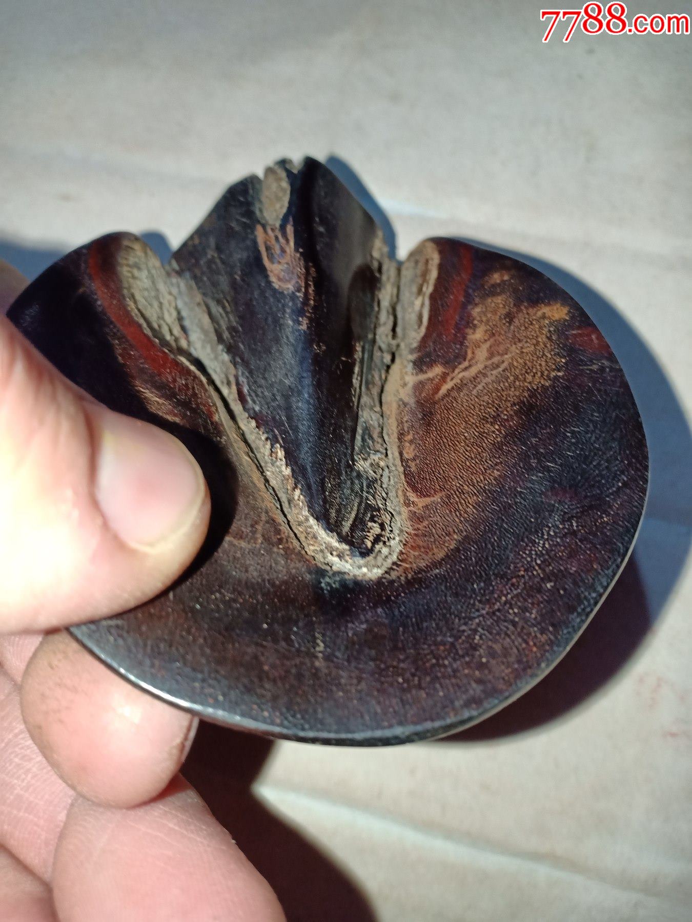 箱29-有些年份,驴蹄,蹄甲,可作中药,解毒消肿,7.5*6.5*2.5cm