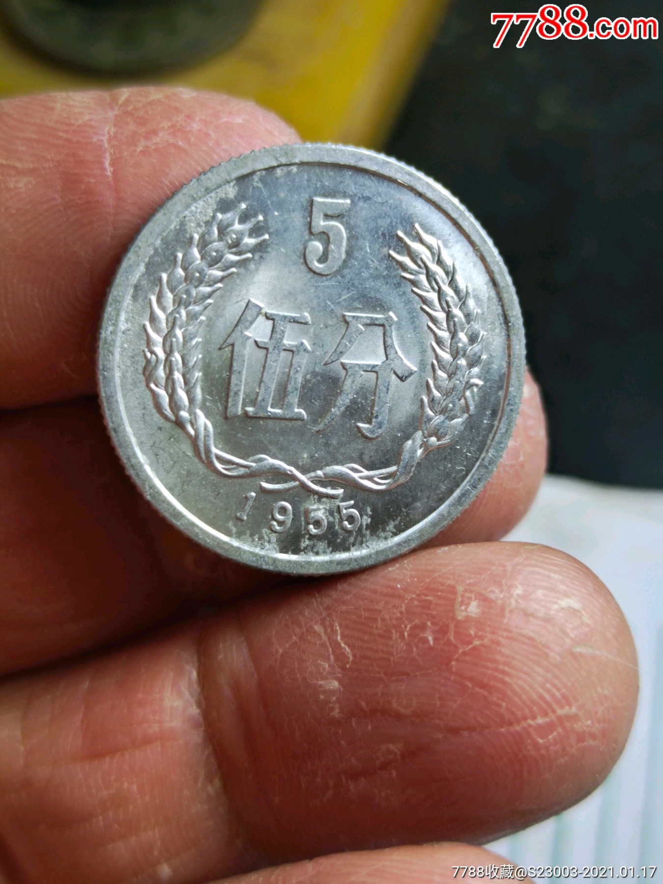 1955年五分硬币圆光一个