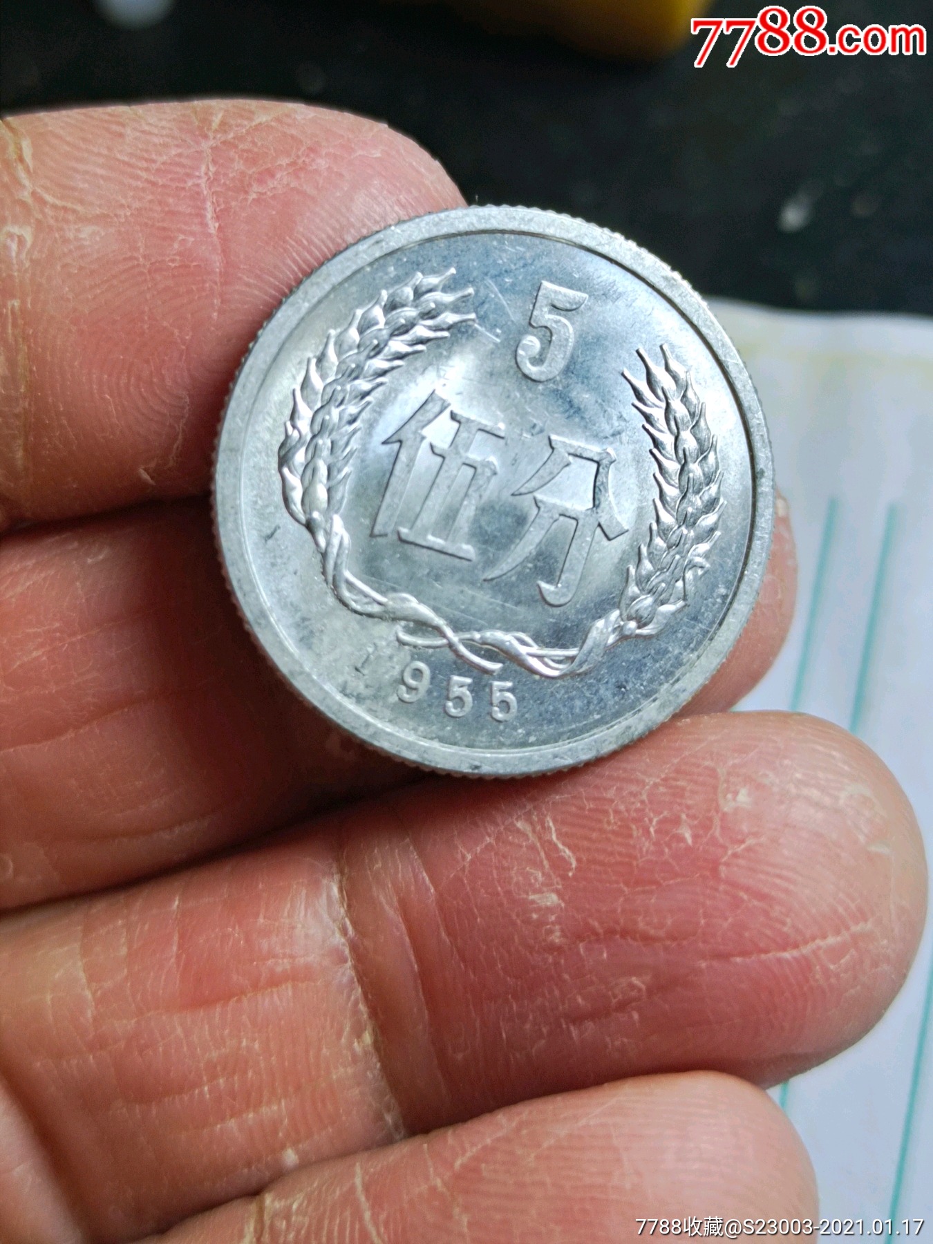 1955年五分硬币圆光