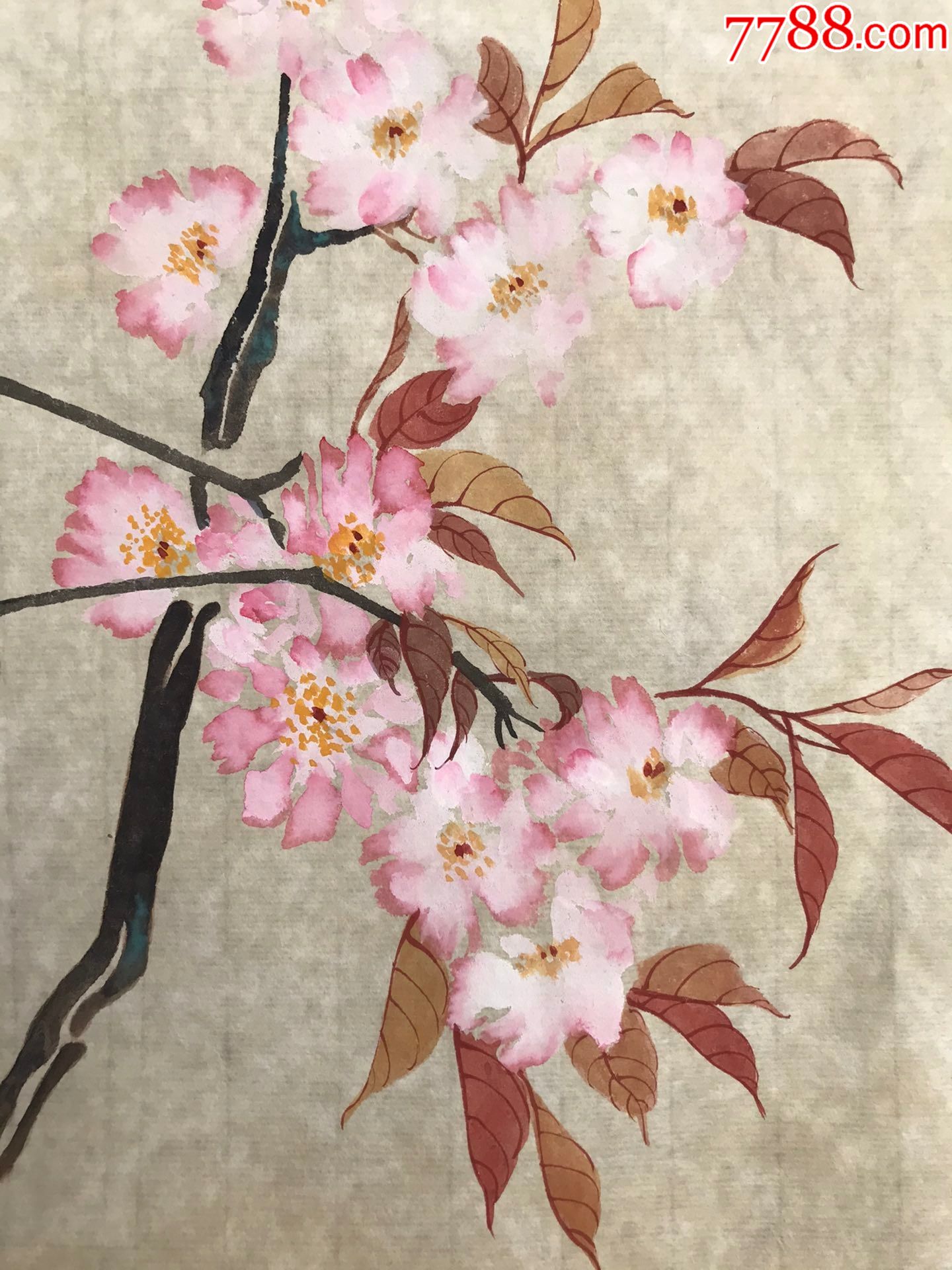 何晓峰花卉软页a88s15f_花鸟国画原作_第2张_7788音像