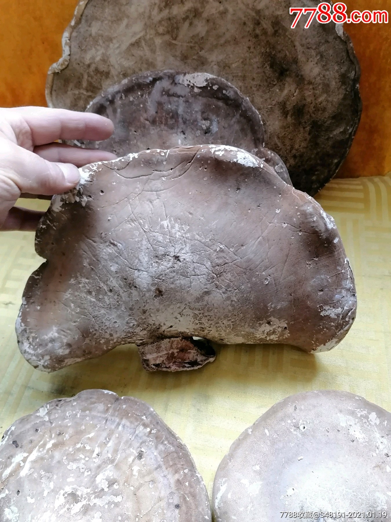 东北老牛干5块一起售200元