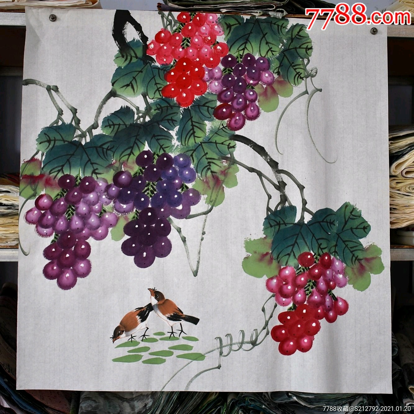 四尺斗方0707米花鸟纯手绘国画葡萄春华秋实硕果累累