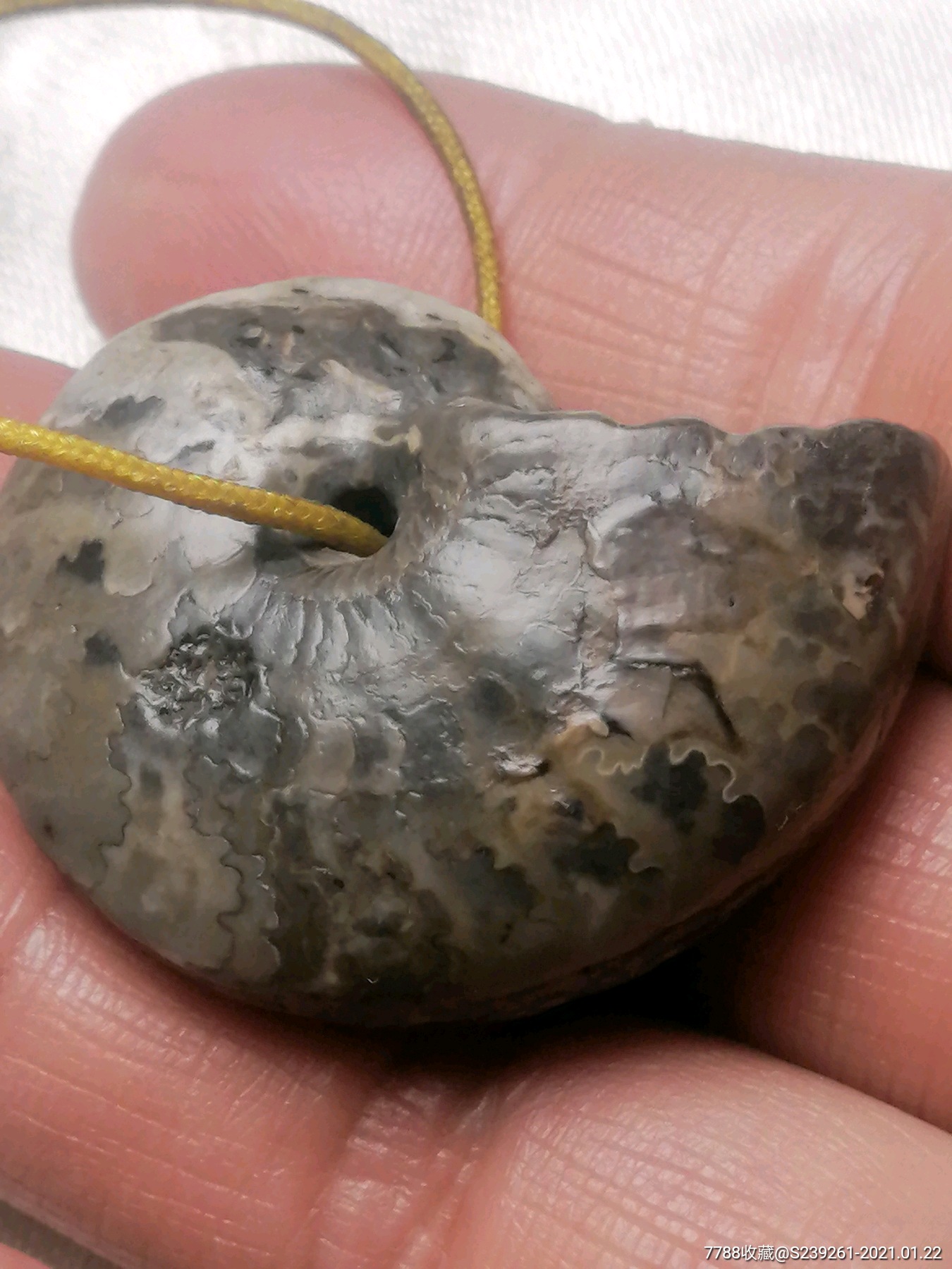 老蜗牛化石挂件