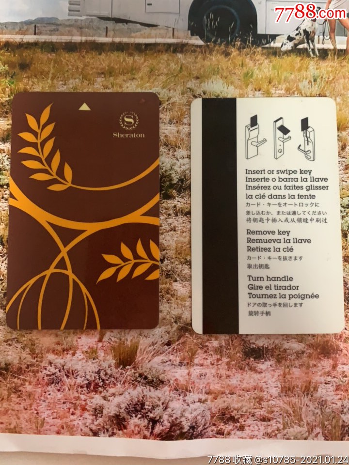 喜来登酒店-缠枝黄不同版_门锁卡/房卡_图片欣赏_收藏价值_7788漫画