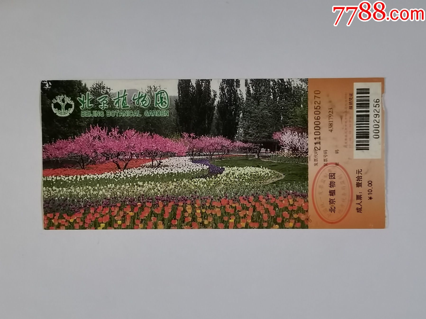北京植物园——第18届桃花节