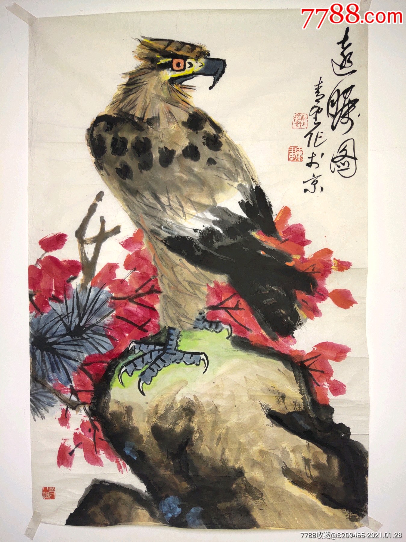 田零花鸟作品保真