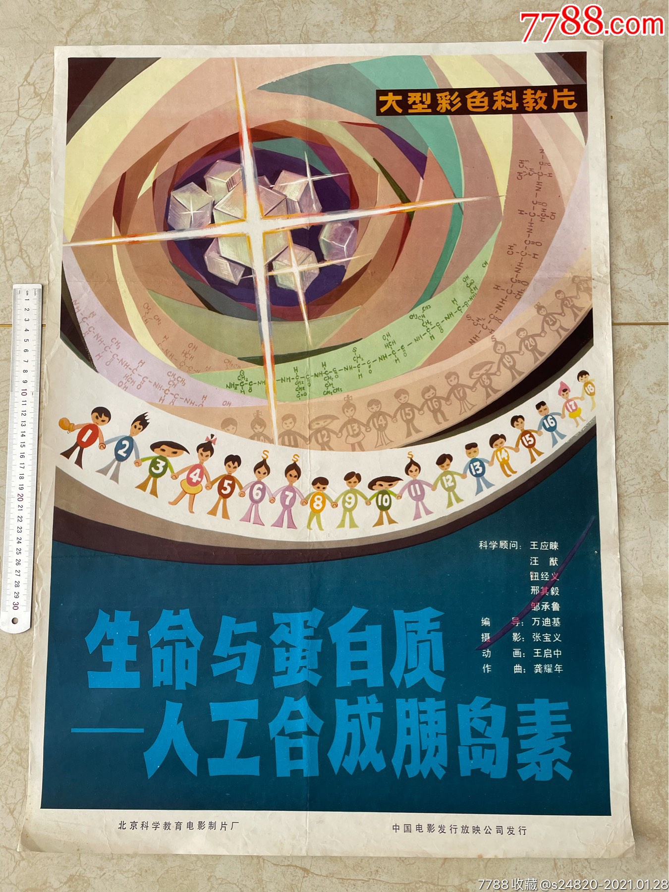 对开,生命与蛋白质人工合成胰岛素-电影海报-7788收藏