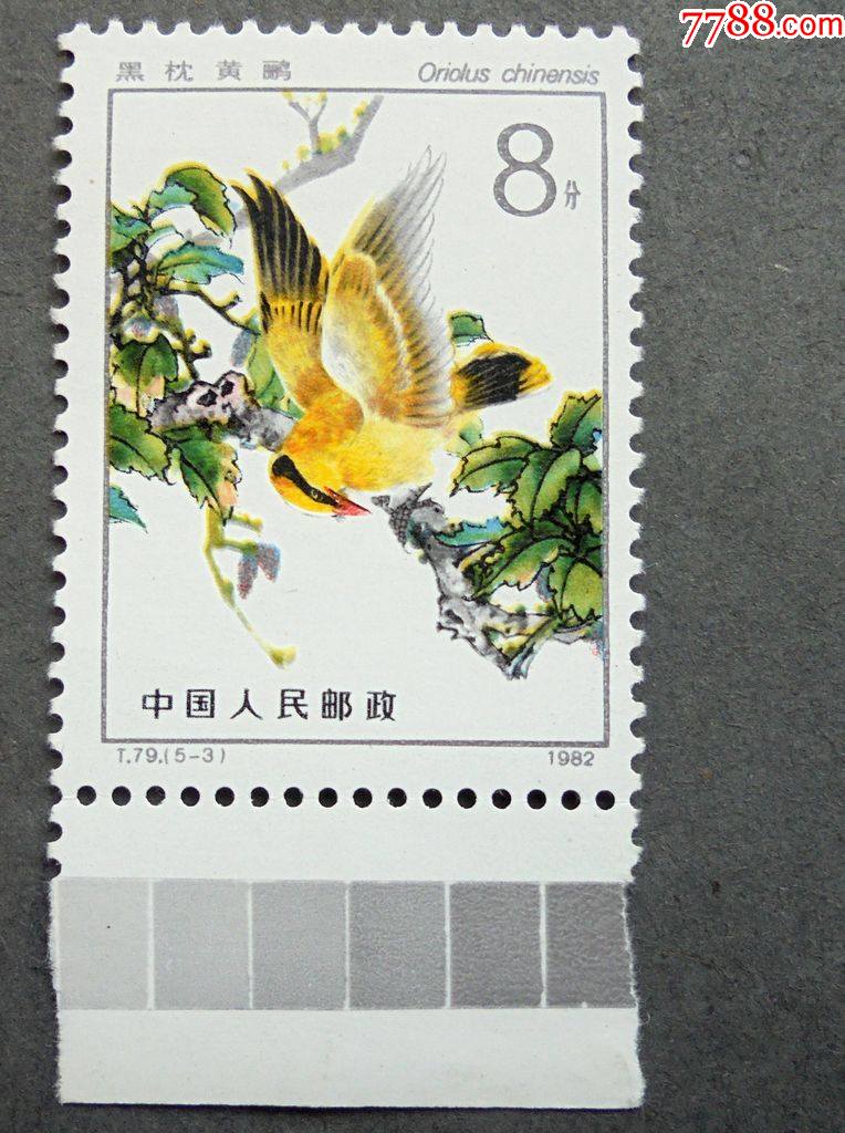 邮票t79益鸟5-3黑枕黄鹂带下边灰色标边齿稍有软折原胶全品