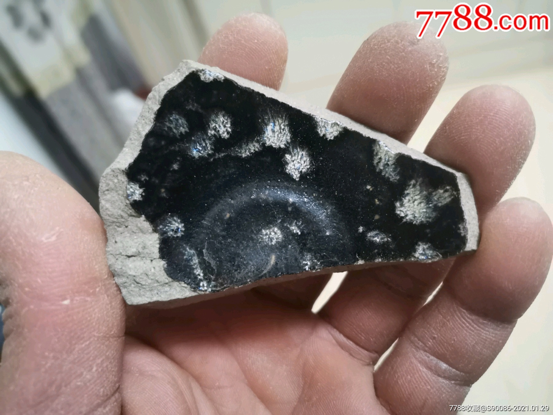 宋吉州窑鹧鸪斑纹斗笠盏标本