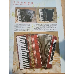 鹦鹉牌手风琴广告画(se78141932)_7788收藏__收藏热线