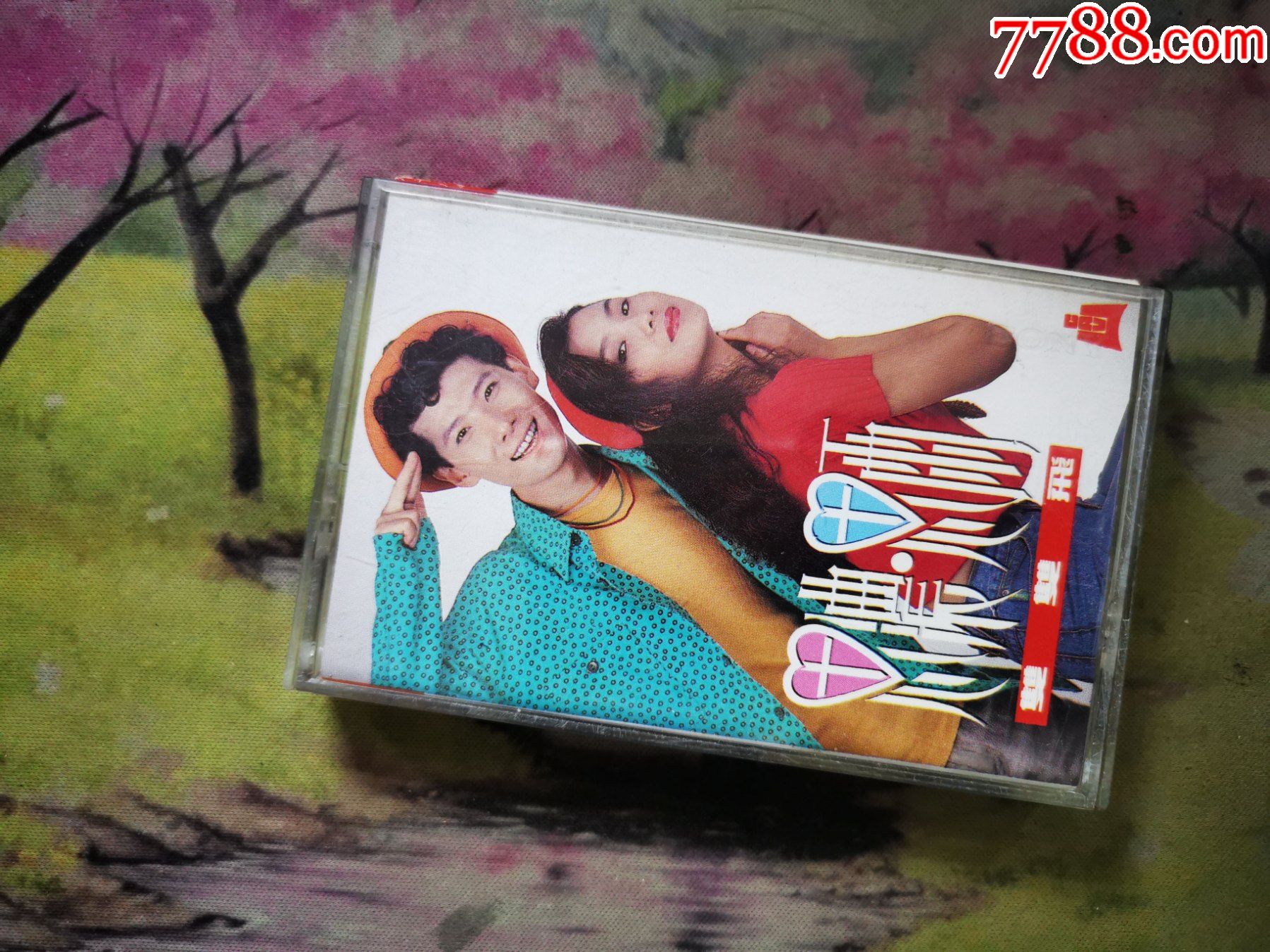 双双飞思浓思雨磁带